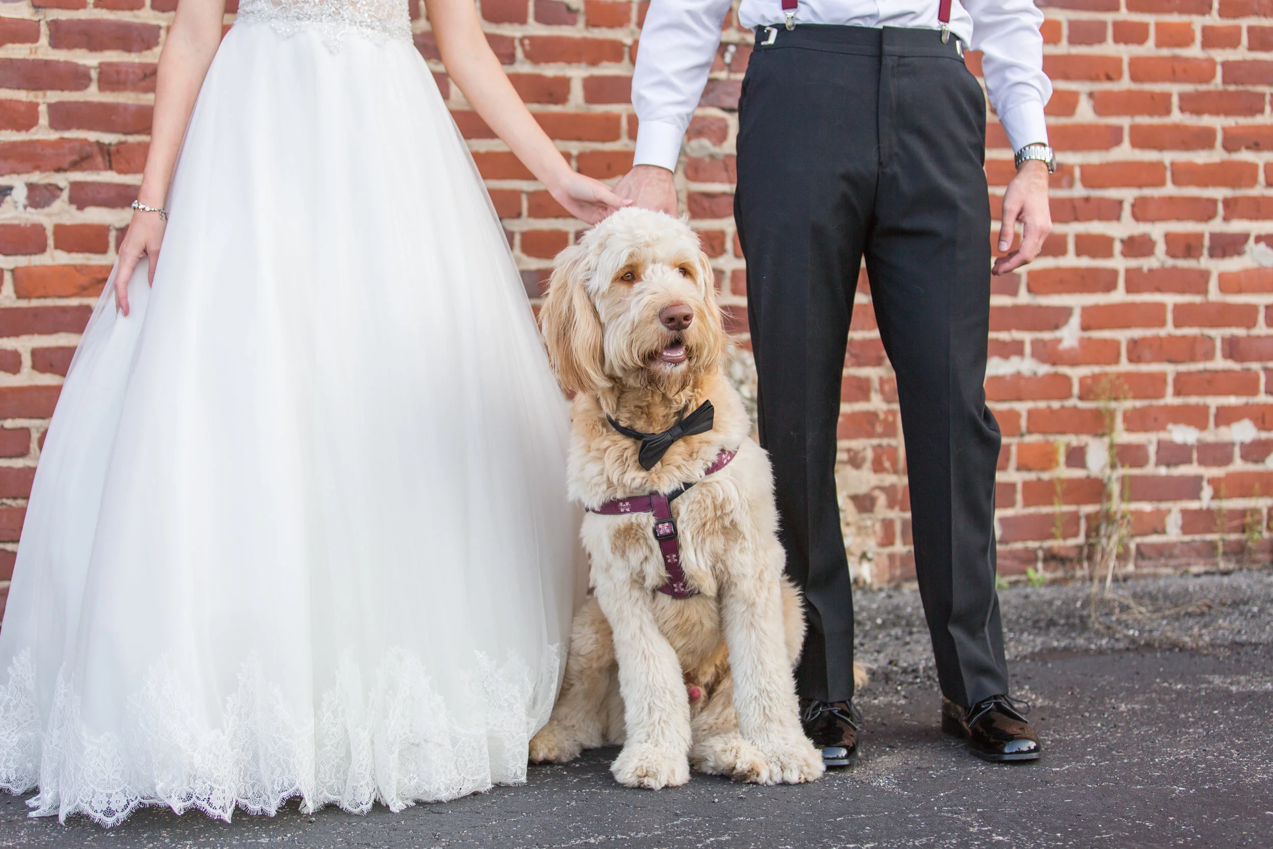 AEP Lance and Meaghan Wedding-504.jpg