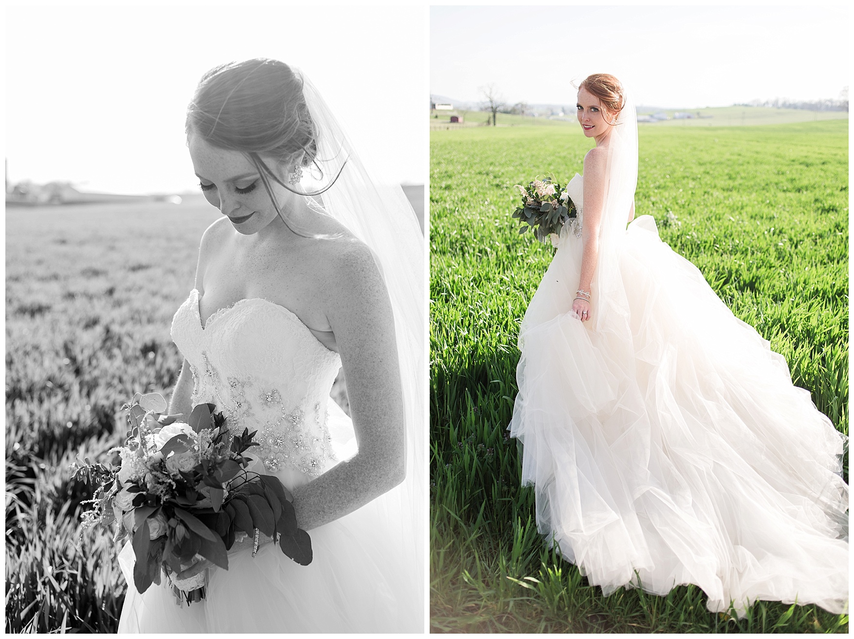 On the Sunny Slope Farm Wedding || Harrisonburg, Virginia Wedding Photographer || Lynchburg VA Photographer
