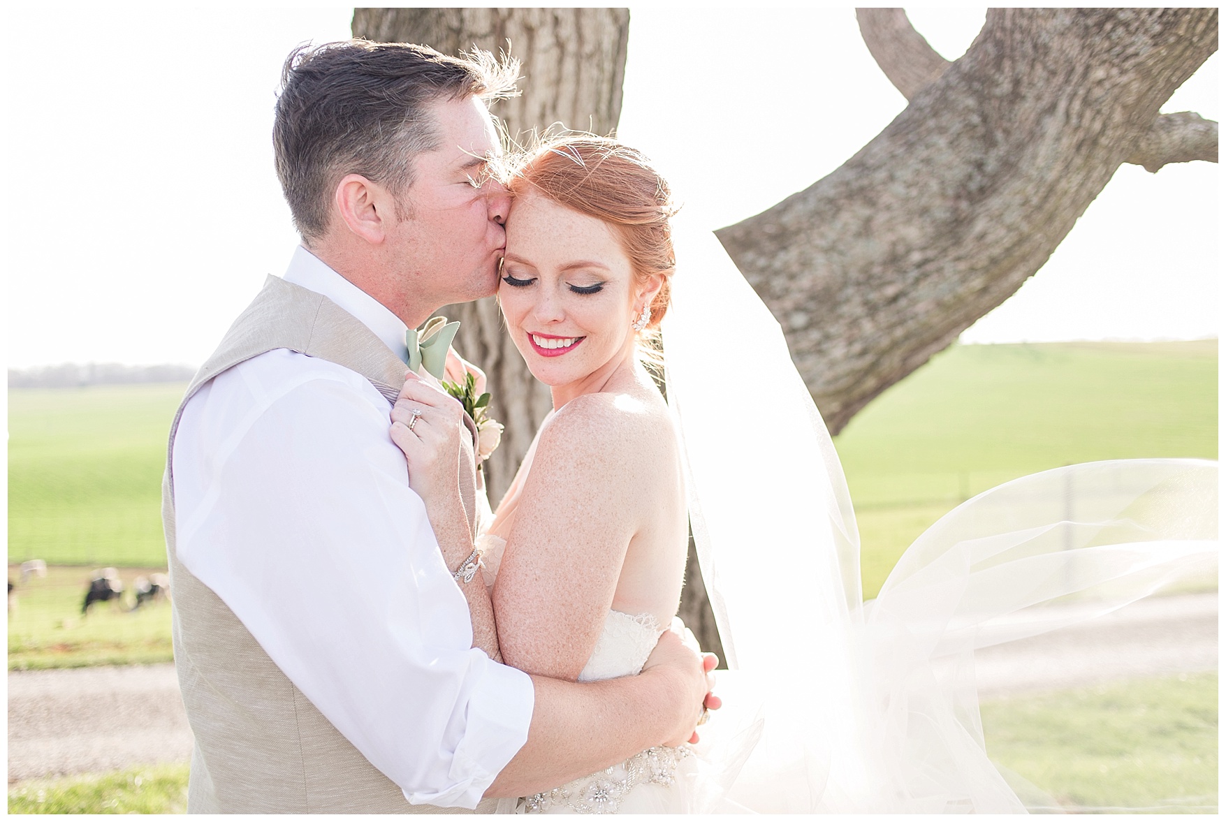 On the Sunny Slope Farm Wedding || Harrisonburg, Virginia Wedding Photographer || Lynchburg VA Photographer