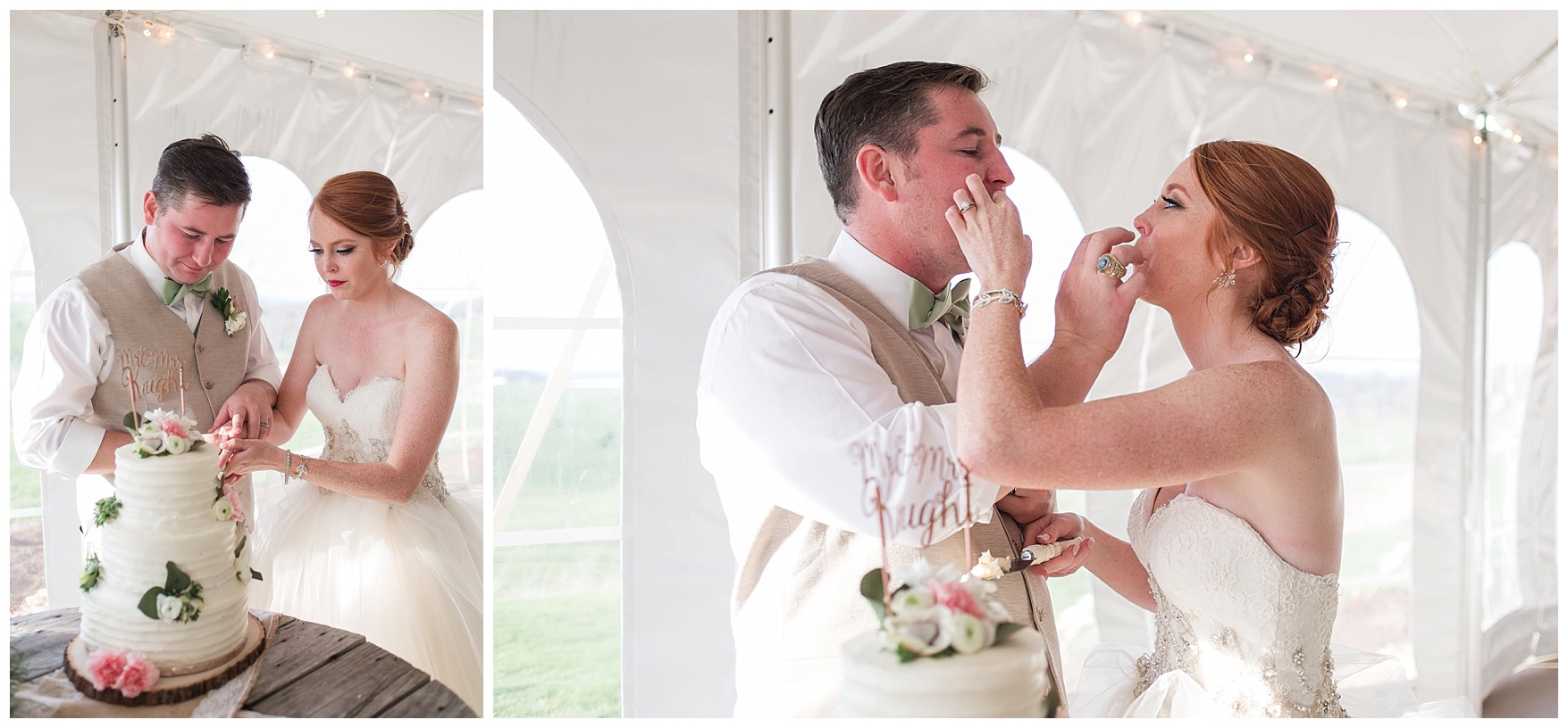 Tent Reception Photos at On the Sunny Slope Farm Wedding  || Harrisonburg, Virginia Wedding Photographer || Lynchburg VA Photographer 