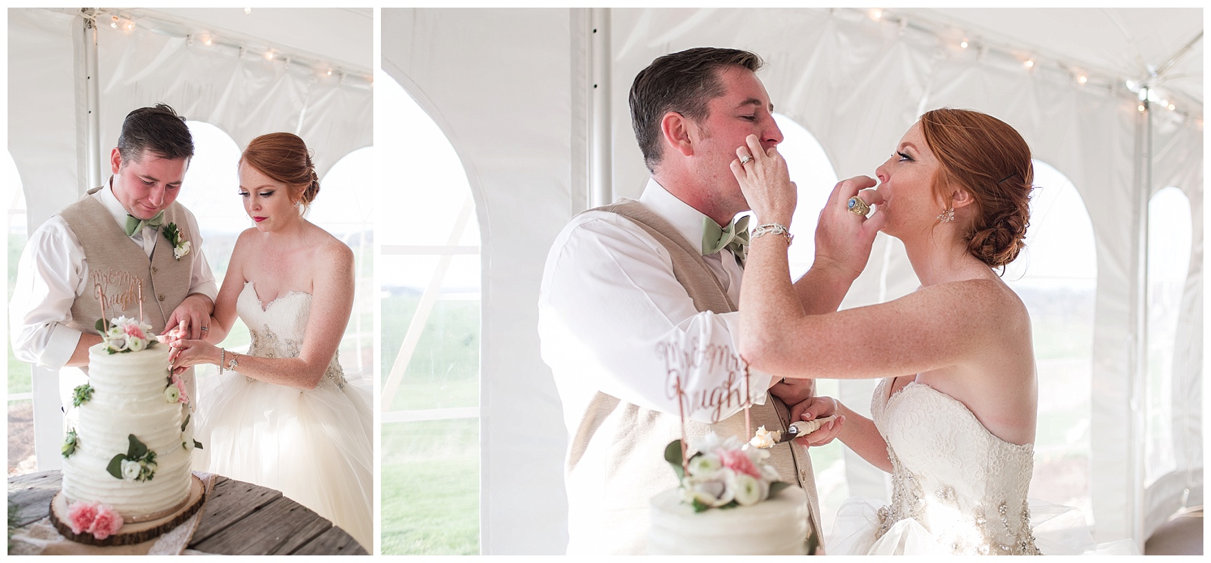 Tent Reception Photos at On the Sunny Slope Farm Wedding || Harrisonburg, Virginia Wedding Photographer || Lynchburg VA Photographer
