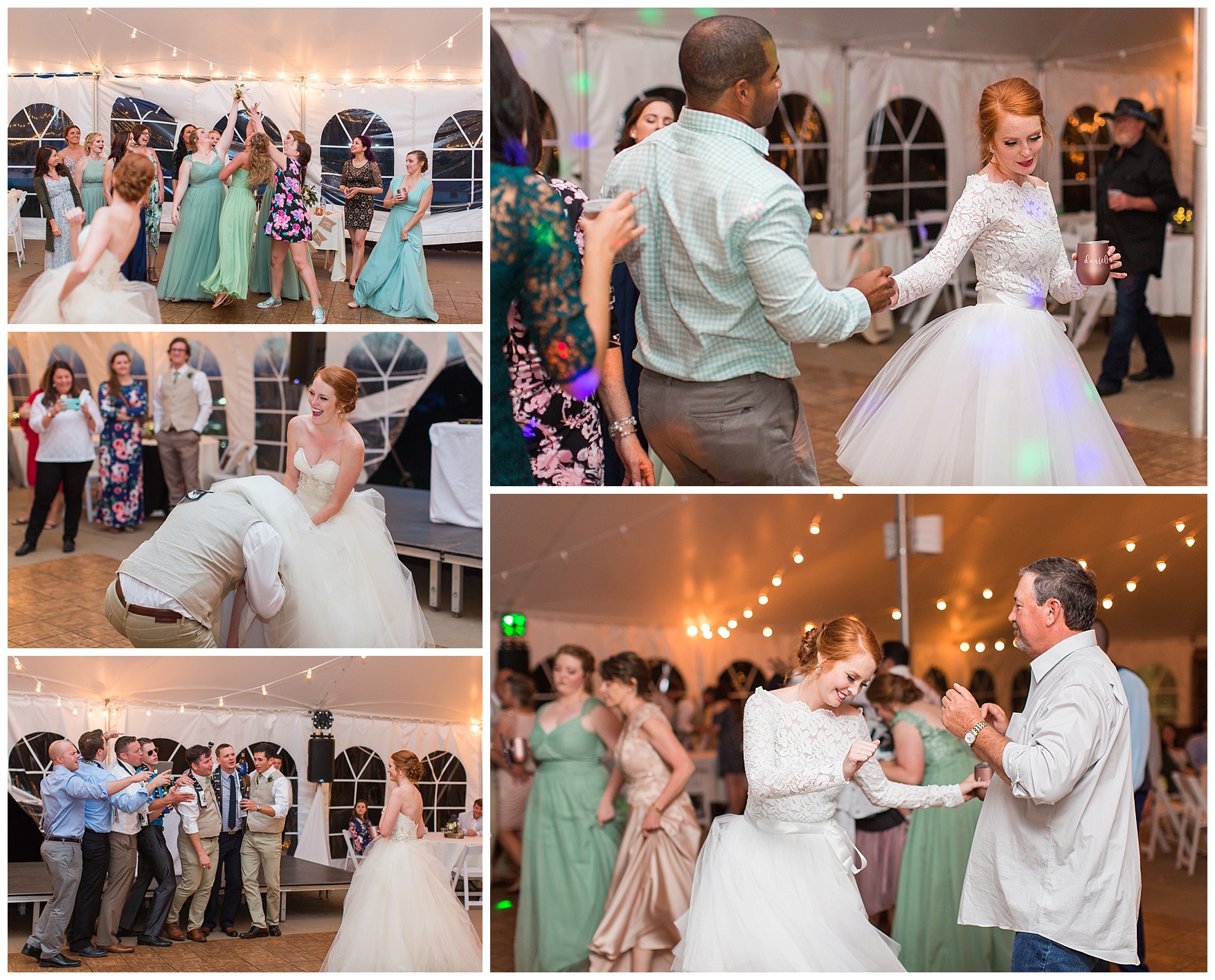 Tent Reception Photos at On the Sunny Slope Farm Wedding || Harrisonburg, Virginia Wedding Photographer || Lynchburg VA Photographer