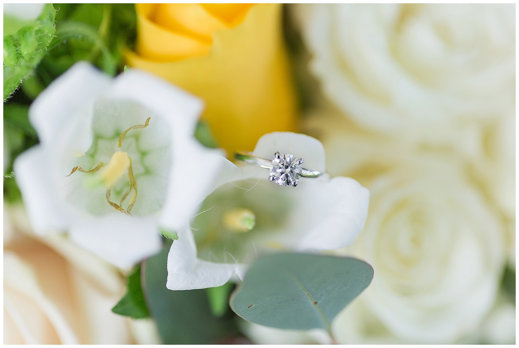 Knight’s Gambit Vineyard Wedding in Charlottesville, Virginia || Central VA Winery Wedding Photographer