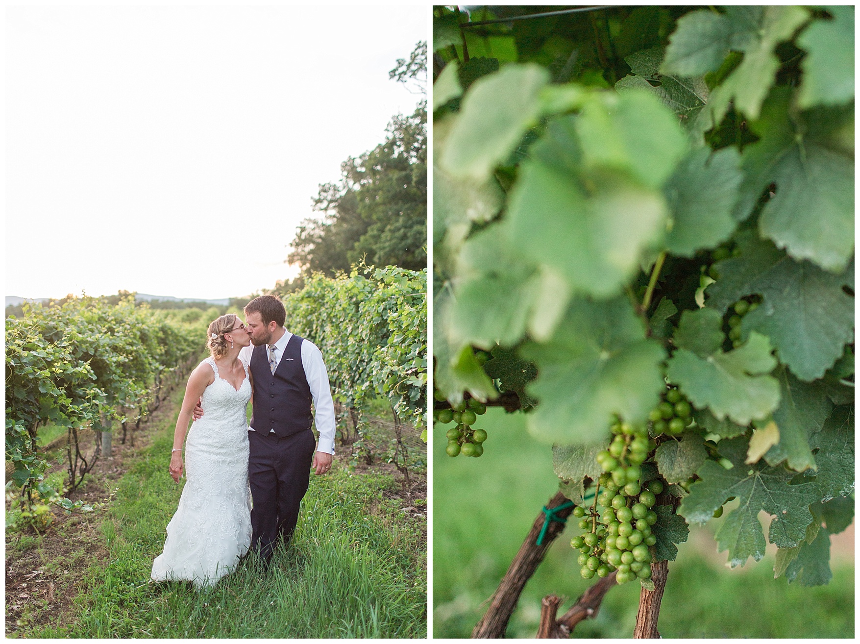 Knight’s Gambit Vineyard Wedding in Charlottesville, Virginia || Central VA Winery Wedding Photographer