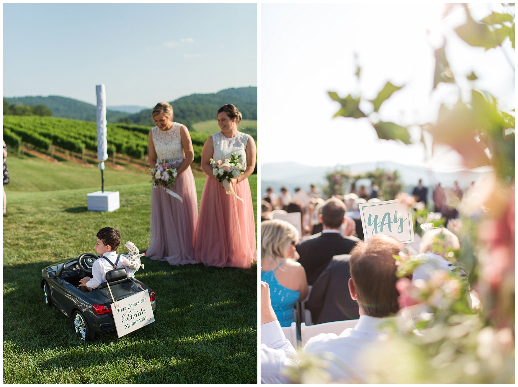 Pippin Hill Farm & Vineyard Wedding in Charlottesville, Virginia || Lynchburg and Charlottesville Wedding Photographer || Summer vineyard wedding in Central Virginia