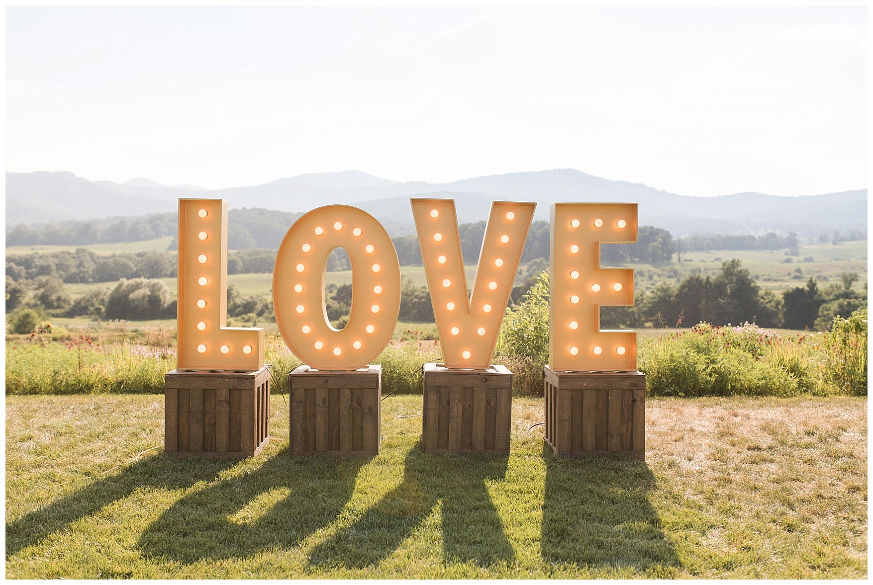 Pippin Hill Farm & Vineyard Wedding in Charlottesville, Virginia || Lynchburg and Charlottesville Wedding Photographer || Summer vineyard wedding in Central Virginia