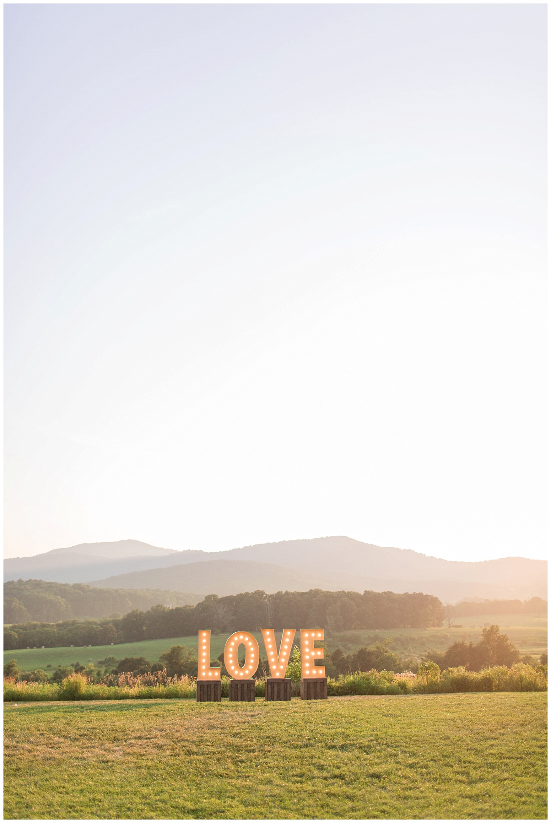 Pippin Hill Farm & Vineyard Wedding in Charlottesville, Virginia || Lynchburg and Charlottesville Wedding Photographer || Summer vineyard wedding in Central Virginia