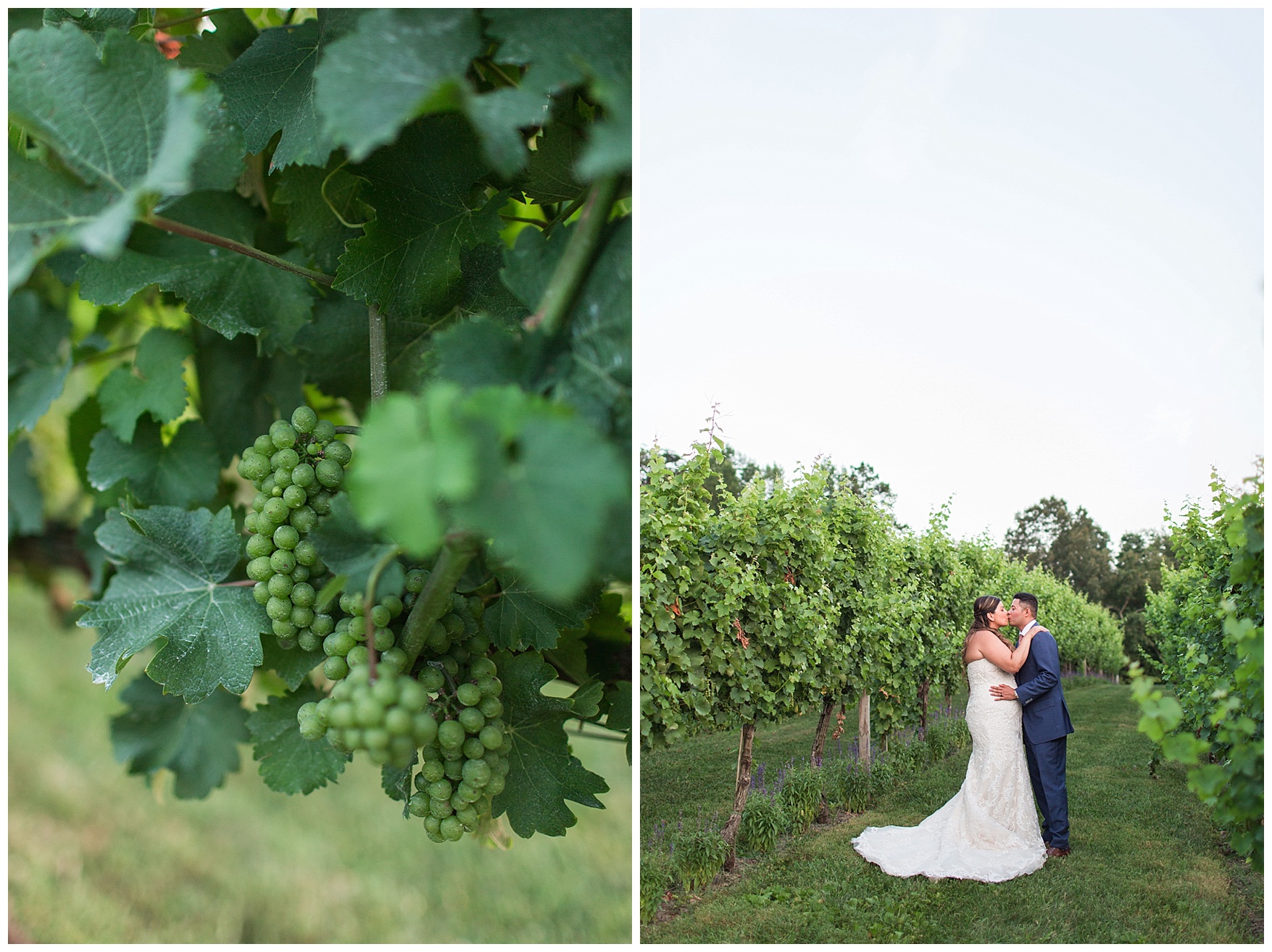 Pippin Hill Farm & Vineyard Wedding in Charlottesville, Virginia || Lynchburg and Charlottesville Wedding Photographer || Summer vineyard wedding in Central Virginia