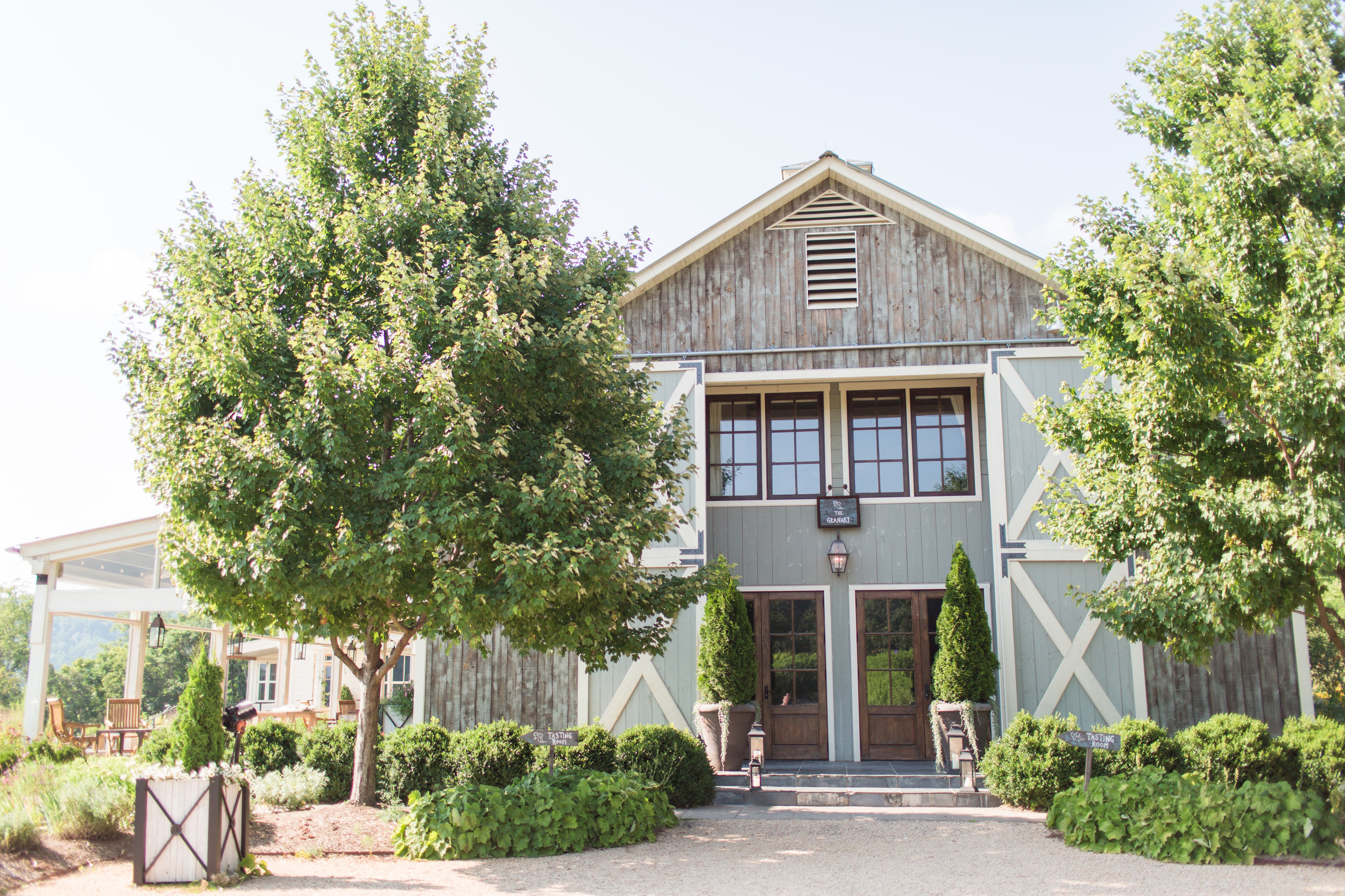 Wedding at Pippin Hill Farm and Vineyards in Charlottesville, Virginia || Central Virginia Wedding Photographer 