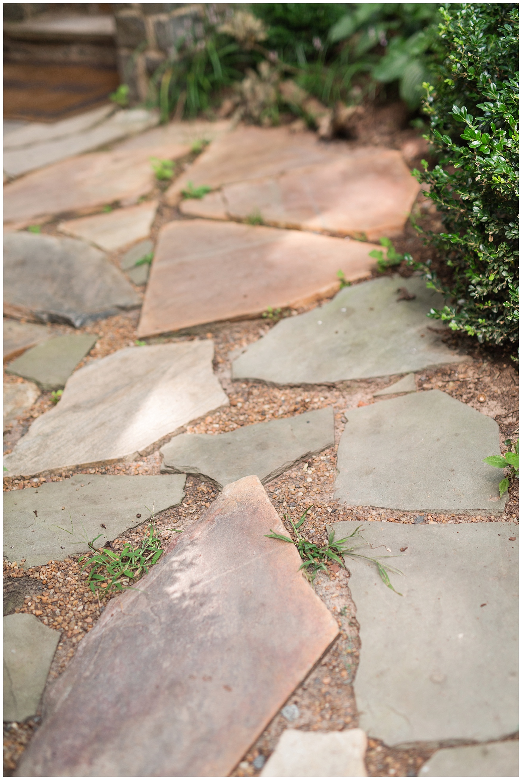 Murray Hill Wedding in Leesburg, Virginia || Leesburg Wedding Photographer || Ashley Eiban Photography