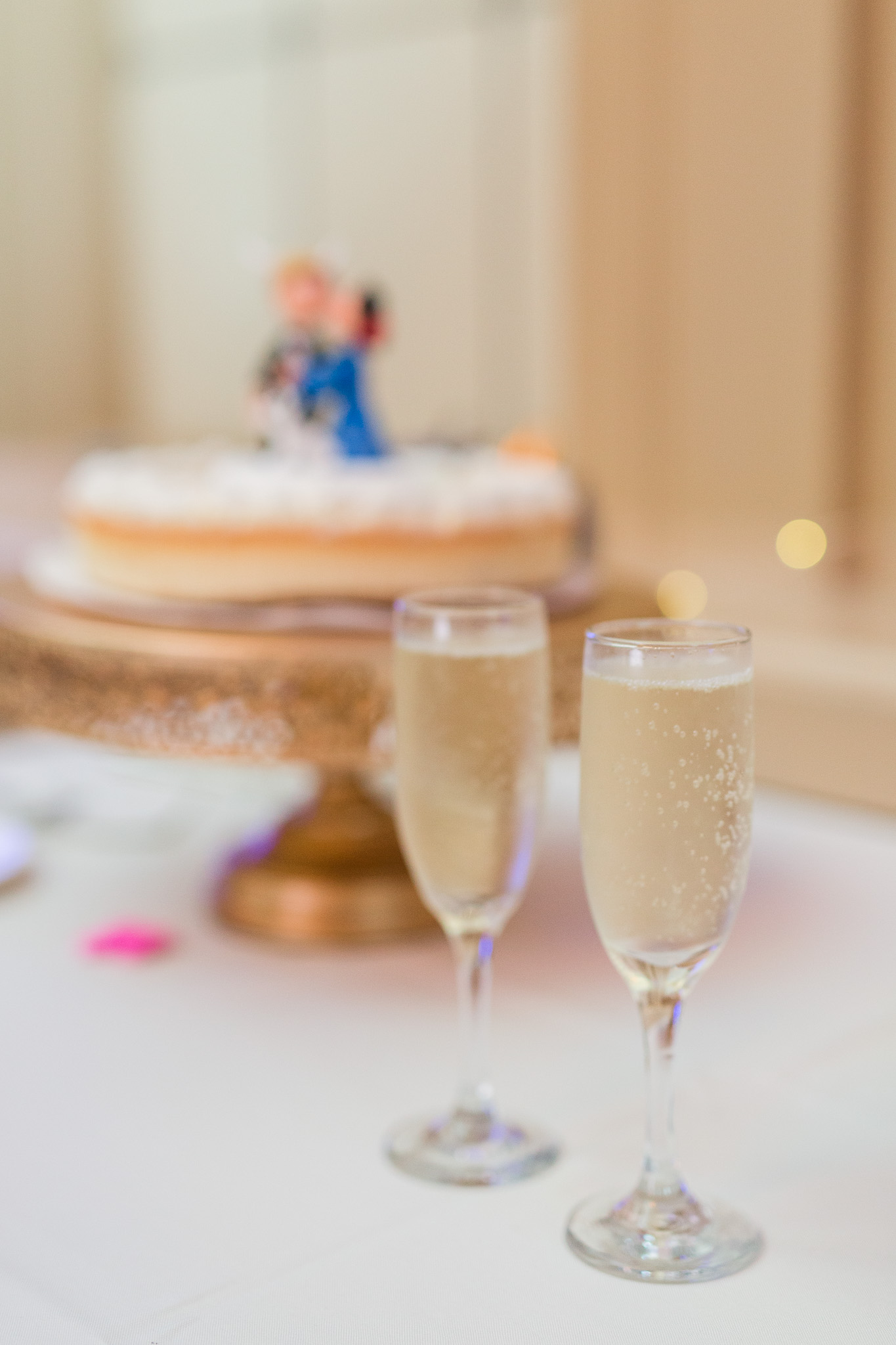 The John Marshall Ballrooms in Richmond, Virginia || Lynchburg, Charlottesville, and Richmond Wedding Photographer || www.ashleyeiban.com