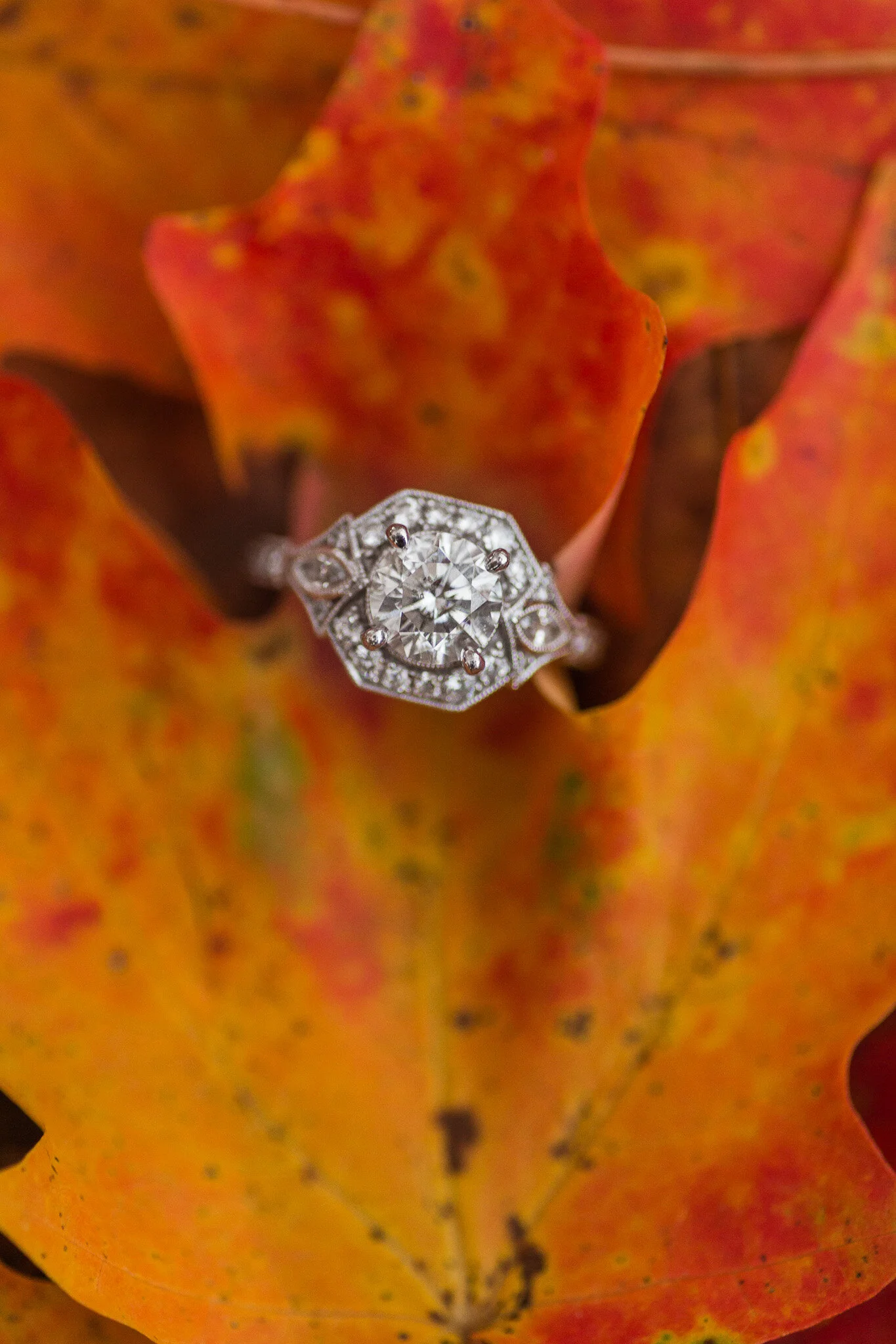 Brian and Emily Engagements-75.jpg