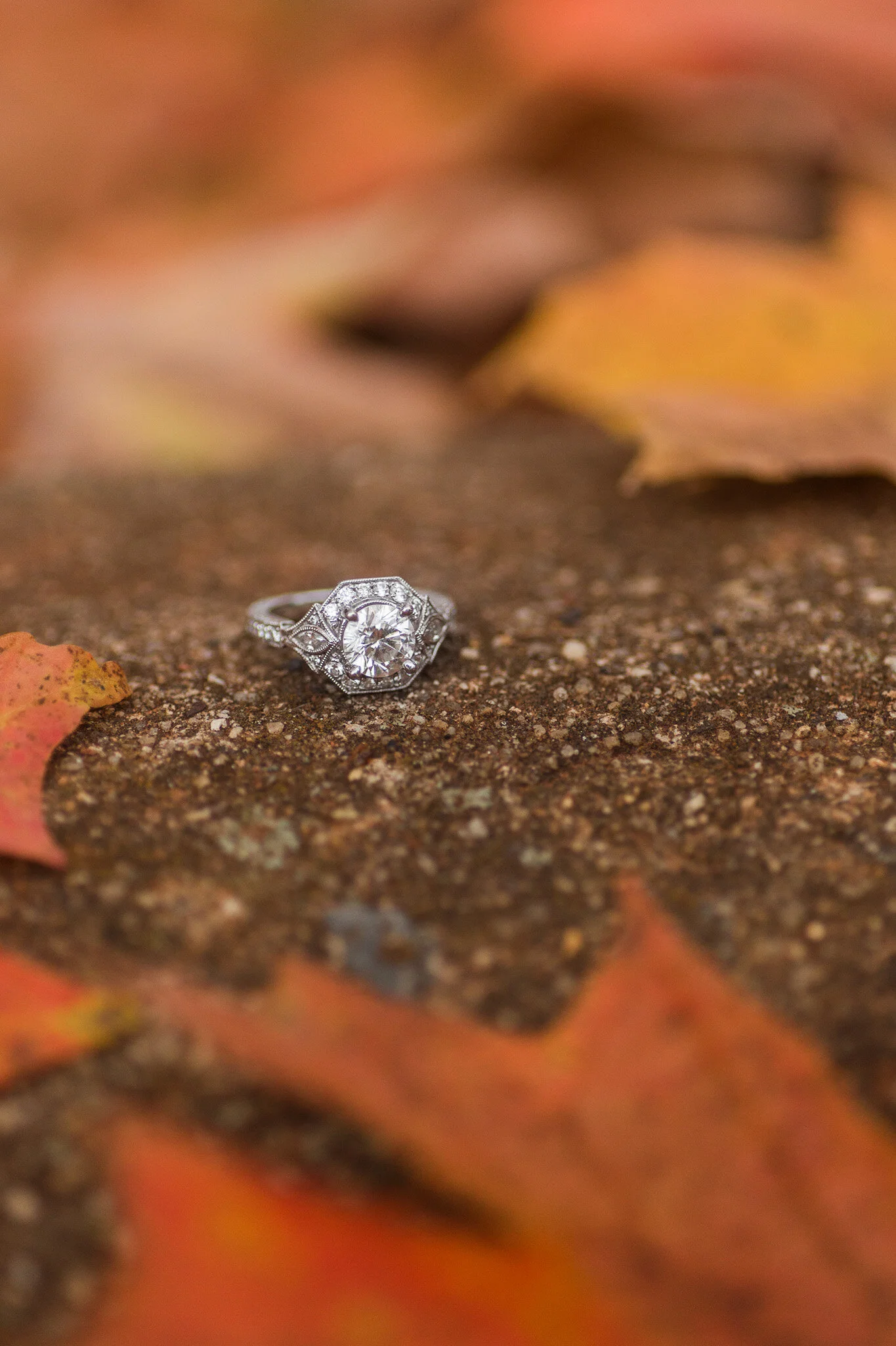 Brian and Emily Engagements-78.jpg