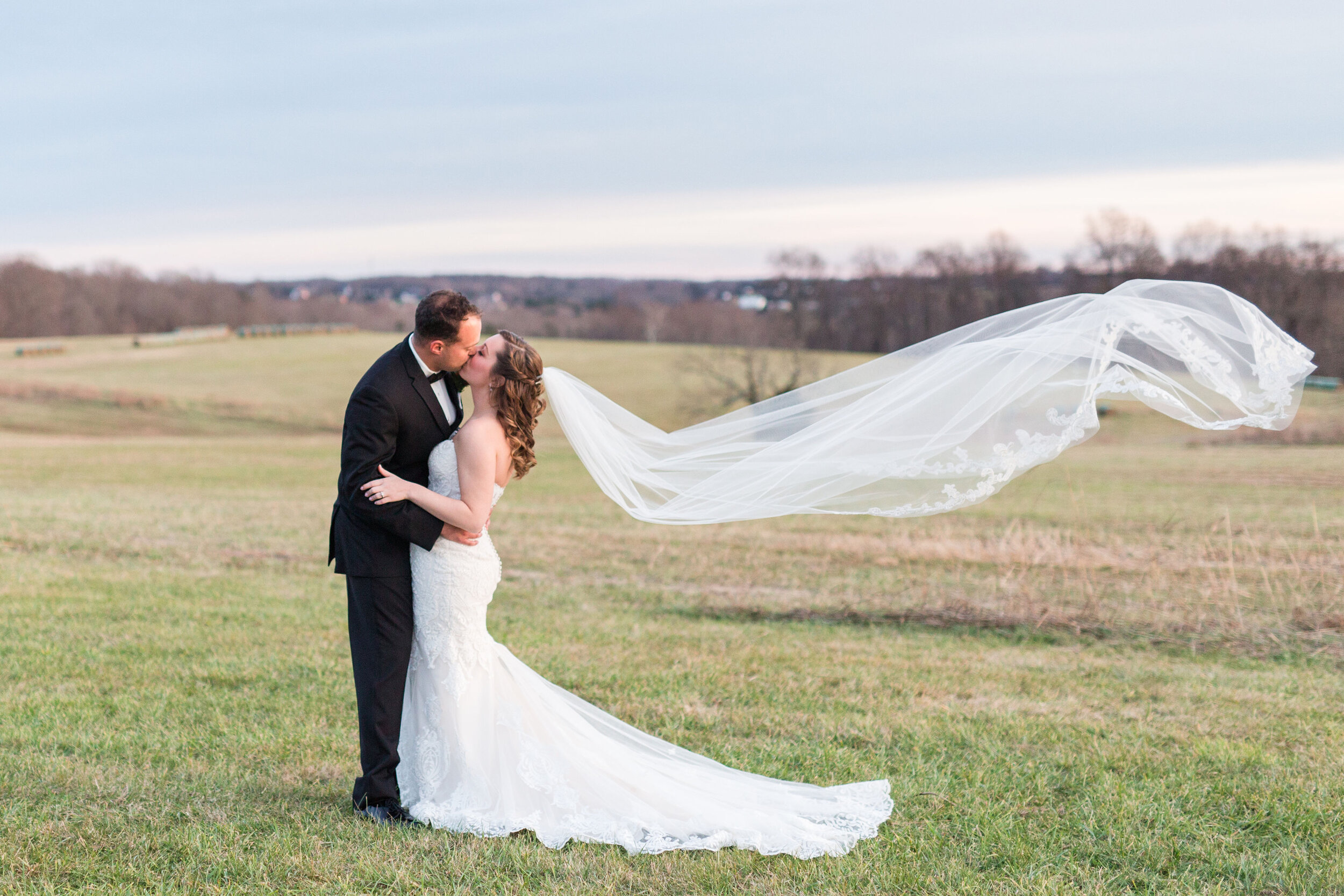 Charlottesville Wedding Photographer || Wedding Photographer in Lynchburg Virginia || Central VA Wedding and Portrait Photographer || Vineyard Wedding Charlotte Court House Virginia