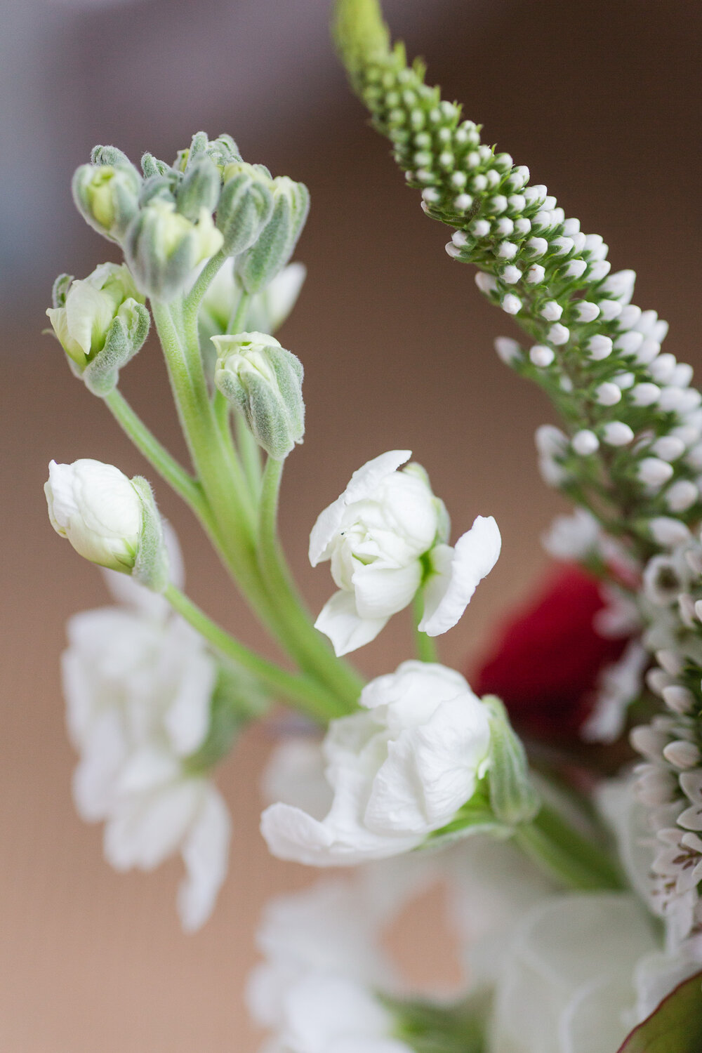 Classy summer wedding at The Trivium Estate in Forest, Virginia || Lynchburg, VA Wedding Photographer || Southern and Central Virginia Estate Wedding