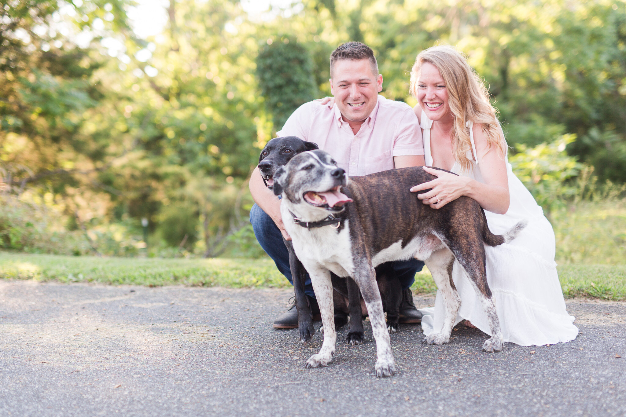 Summer Engagement Session in Afton, Virginia || Charlottesville Wedding Photographer || Blue Toad Cidery Engagement Session 