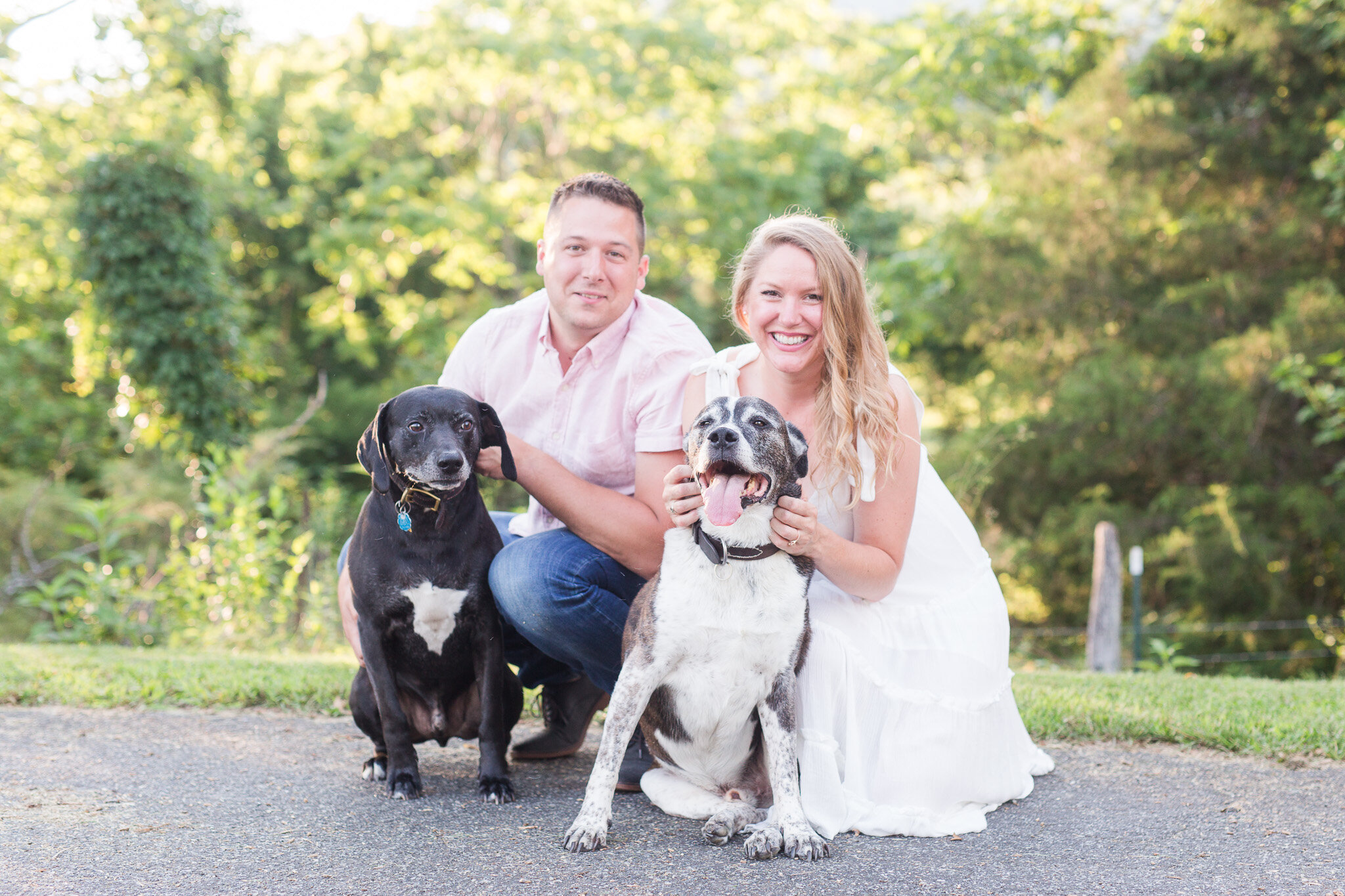 Summer Engagement Session in Afton, Virginia || Charlottesville Wedding Photographer || Blue Toad Cidery Engagement Session 