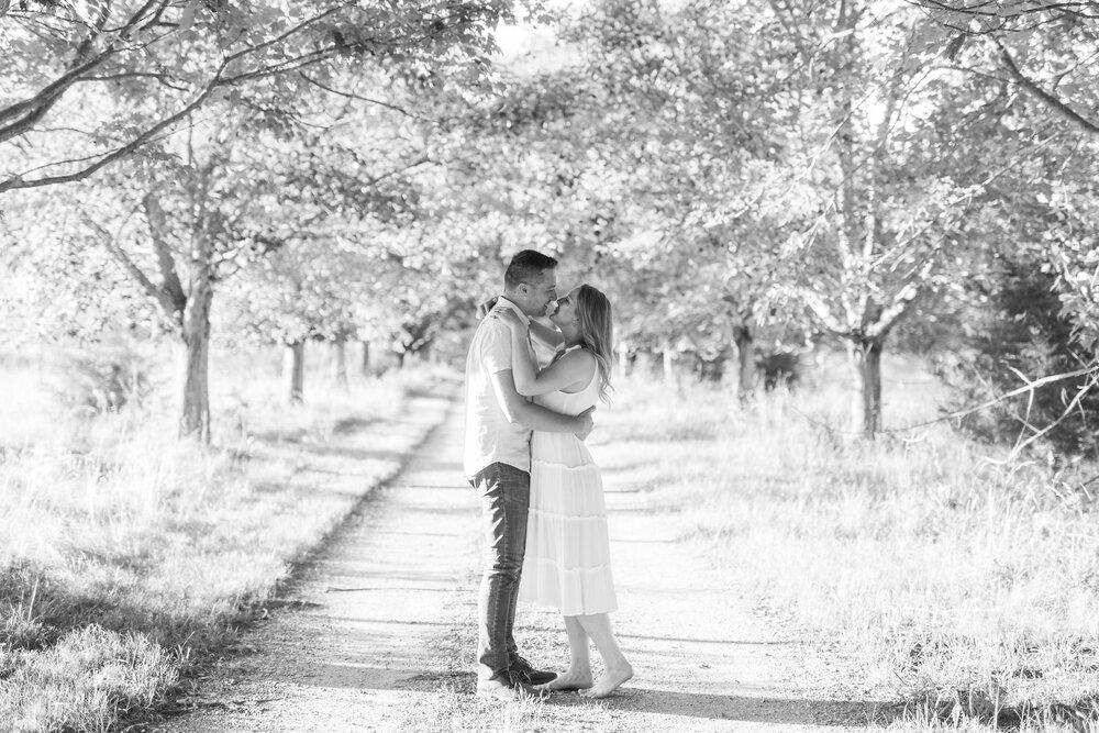 Summer Engagement Session in Afton, Virginia || Charlottesville Wedding Photographer || Blue Toad Cidery Engagement Session 