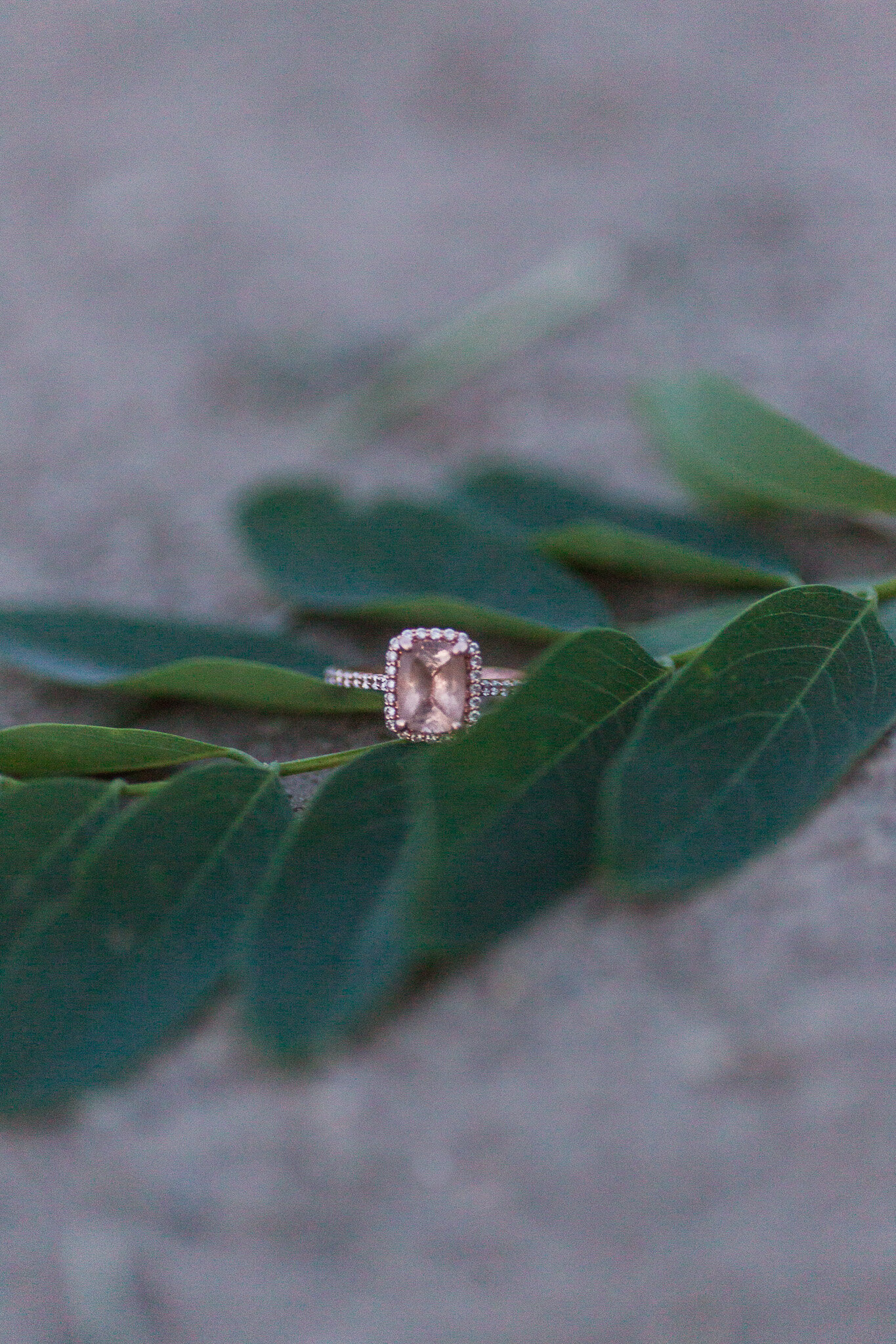 Summer Engagement Session in Afton, Virginia || Charlottesville Wedding Photographer || Blue Toad Cidery Engagement Session 