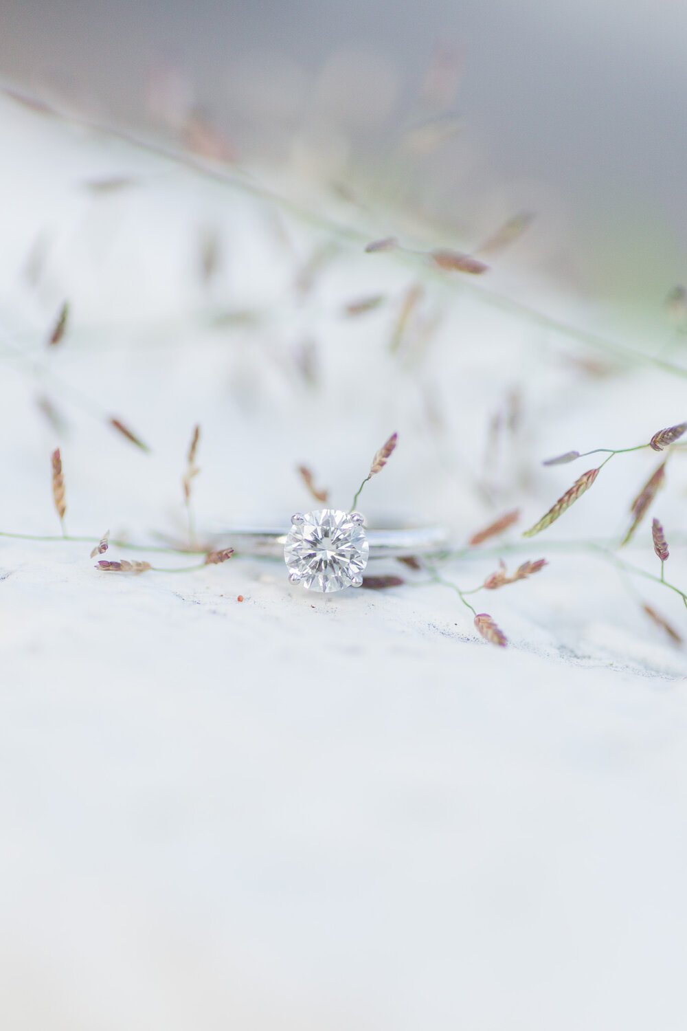 Summer Engagement Session at The Virginian Hotel in Downtown Lynchburg, Virginia || Central Virginia Wedding and Engagement Photographer 