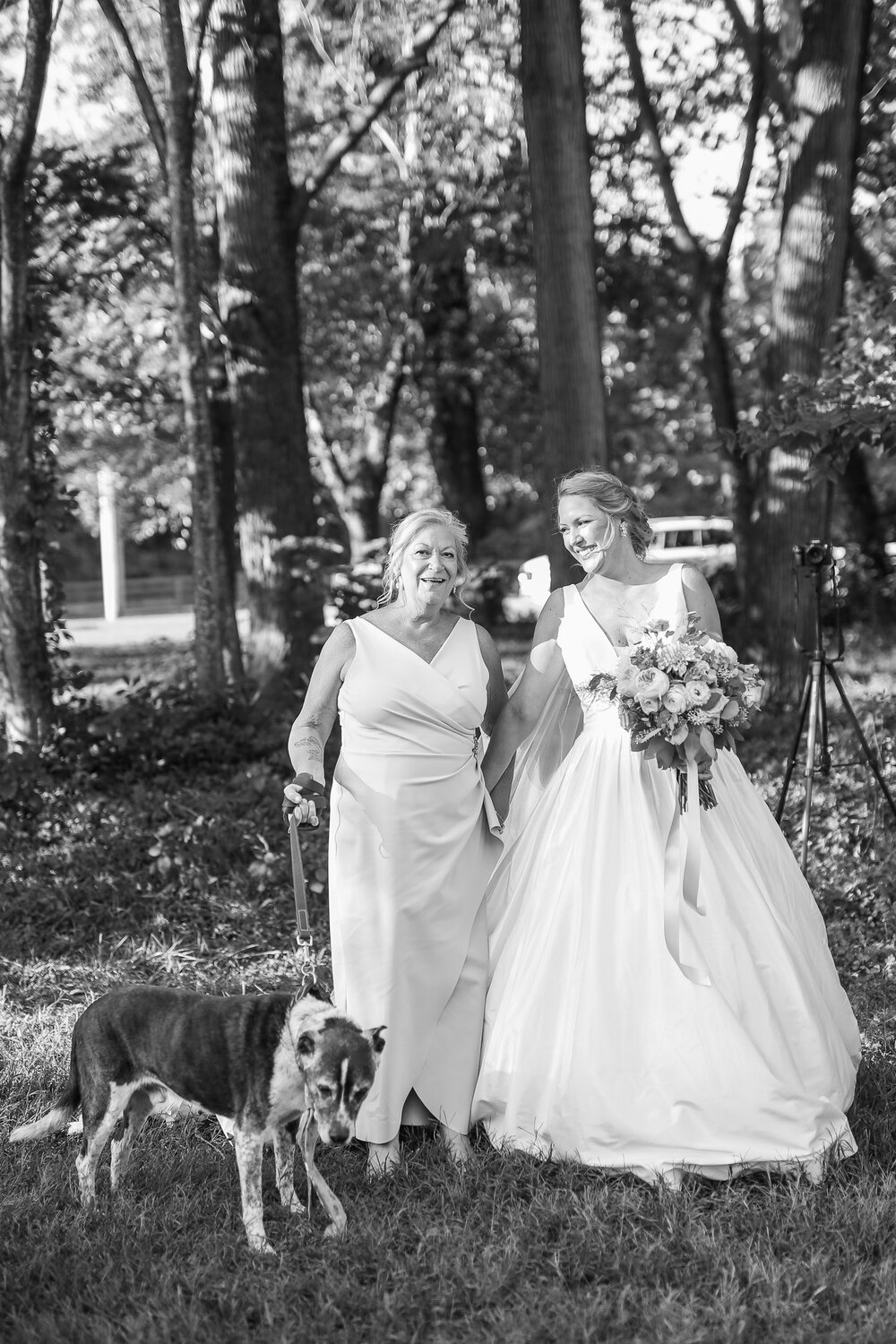 Classy Southern Fall Wedding at Bold Rock Cidery in Afton Virginia || Charlottesville and Lynchburg Wedding Photographer