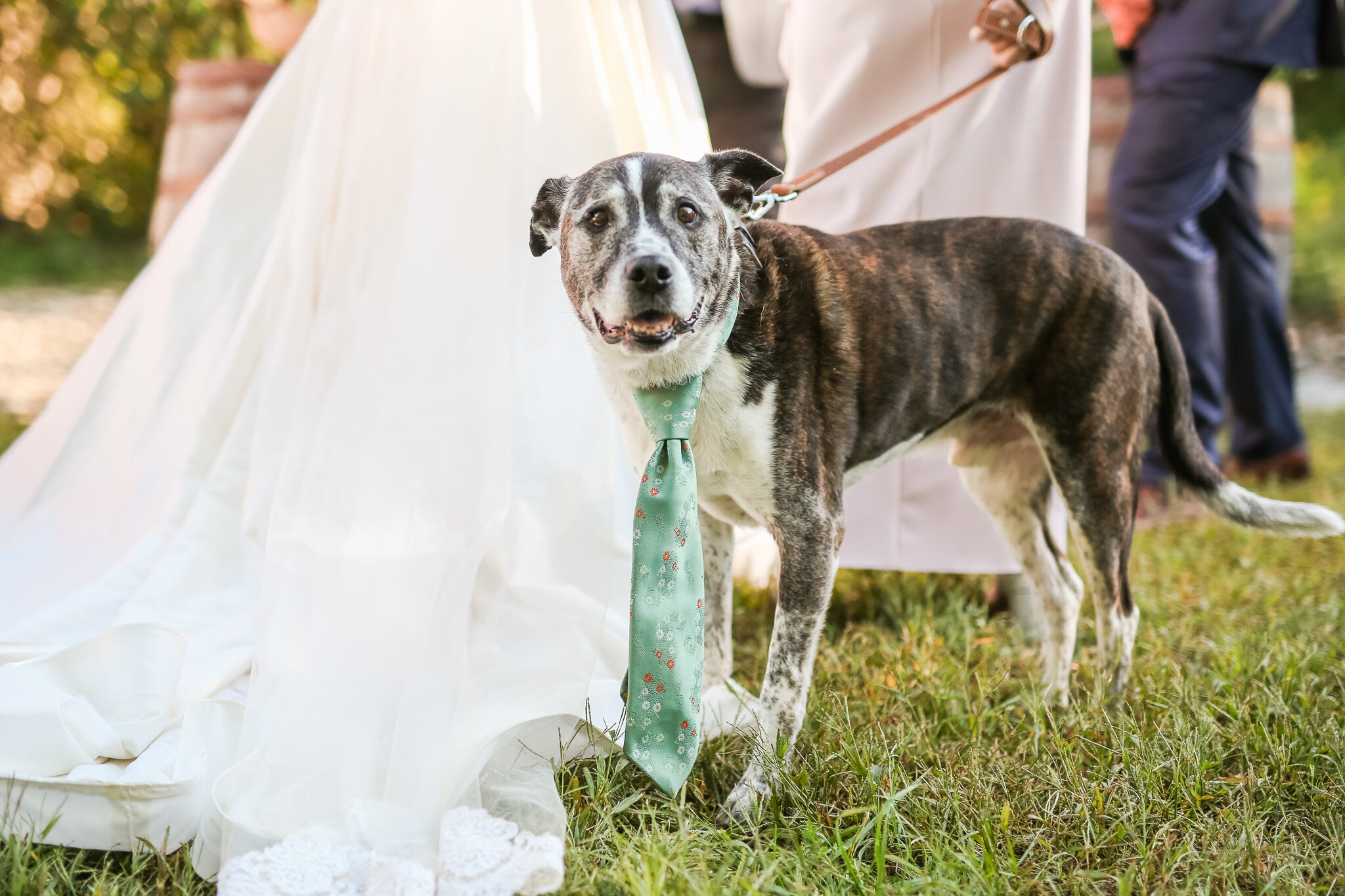 Classy Southern Fall Wedding at Bold Rock Cidery in Afton Virginia || Charlottesville and Lynchburg Wedding Photographer