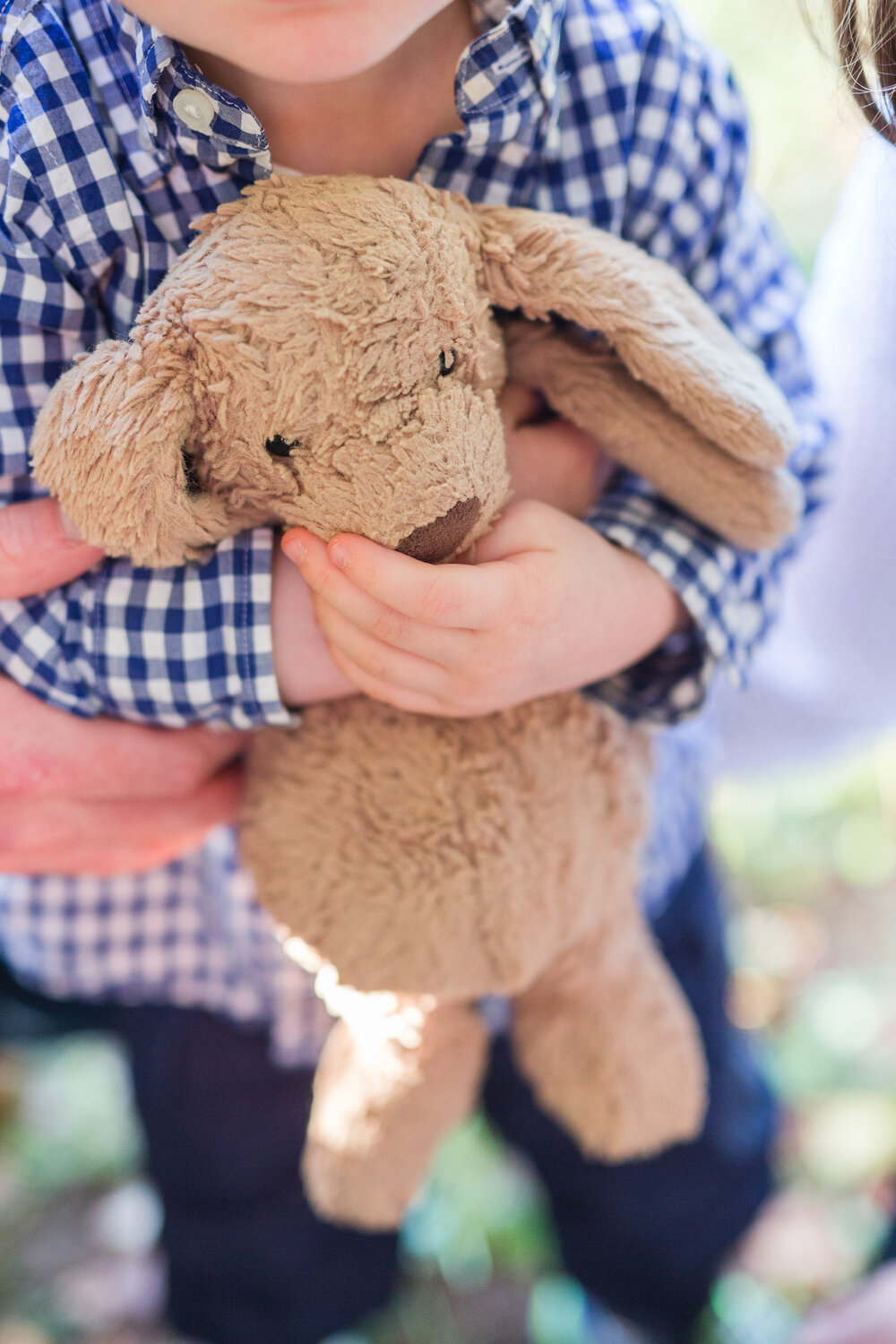 Fall Family Photos in Lynchburg, Virginia || Ashley Eiban Photography 