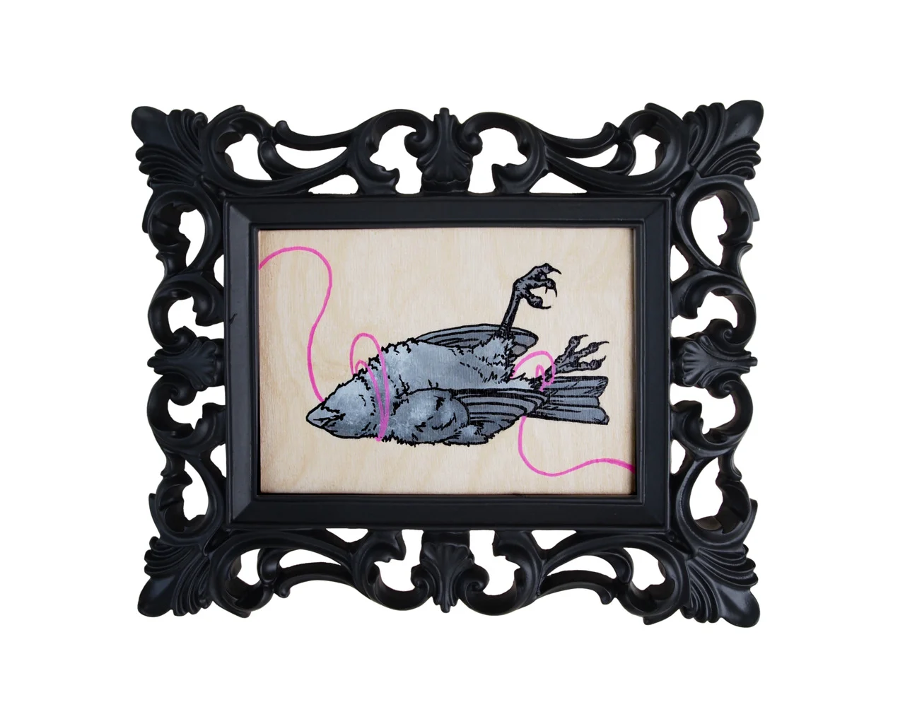 Dead Bird-3.jpg