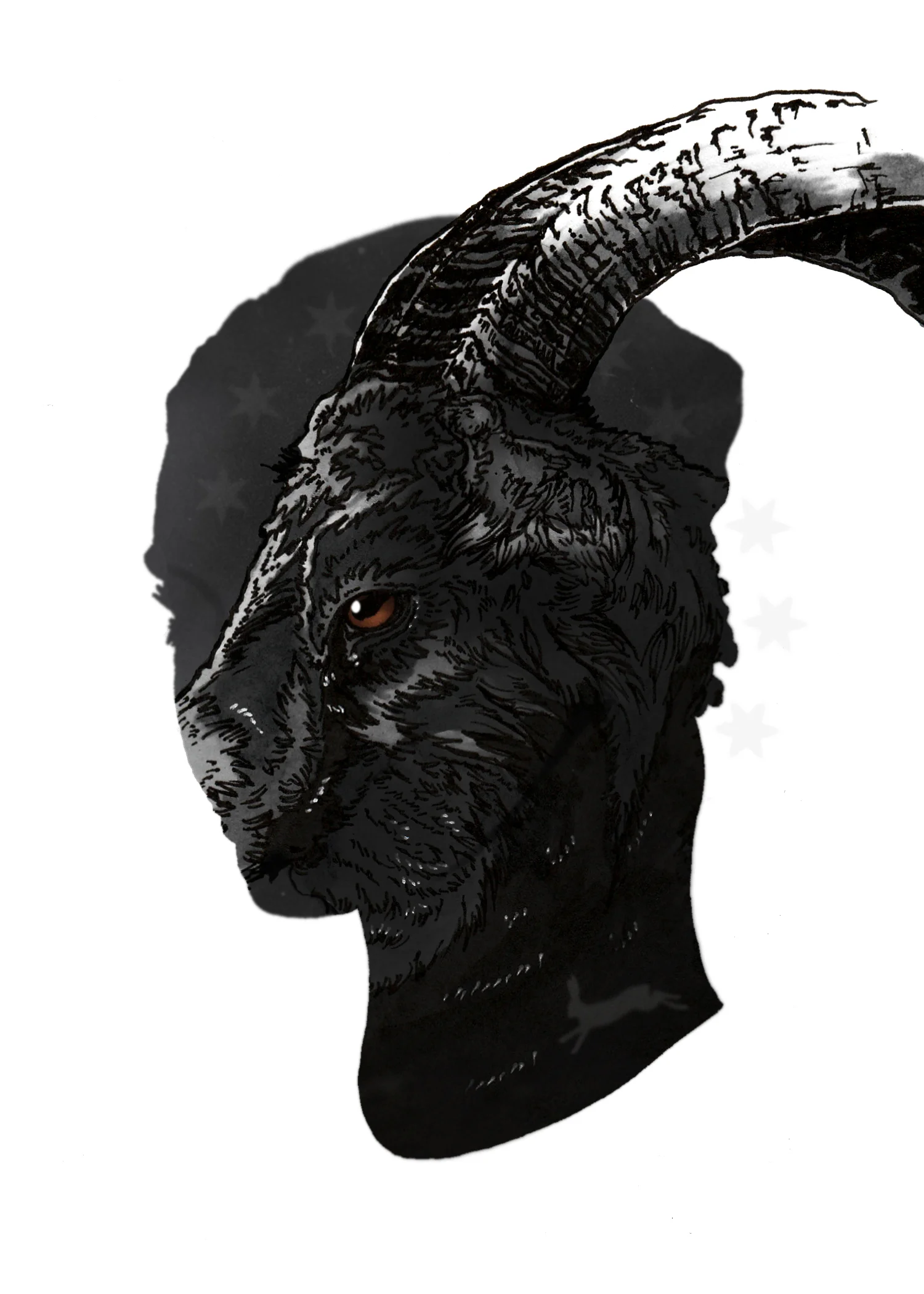 'The VVitch'
