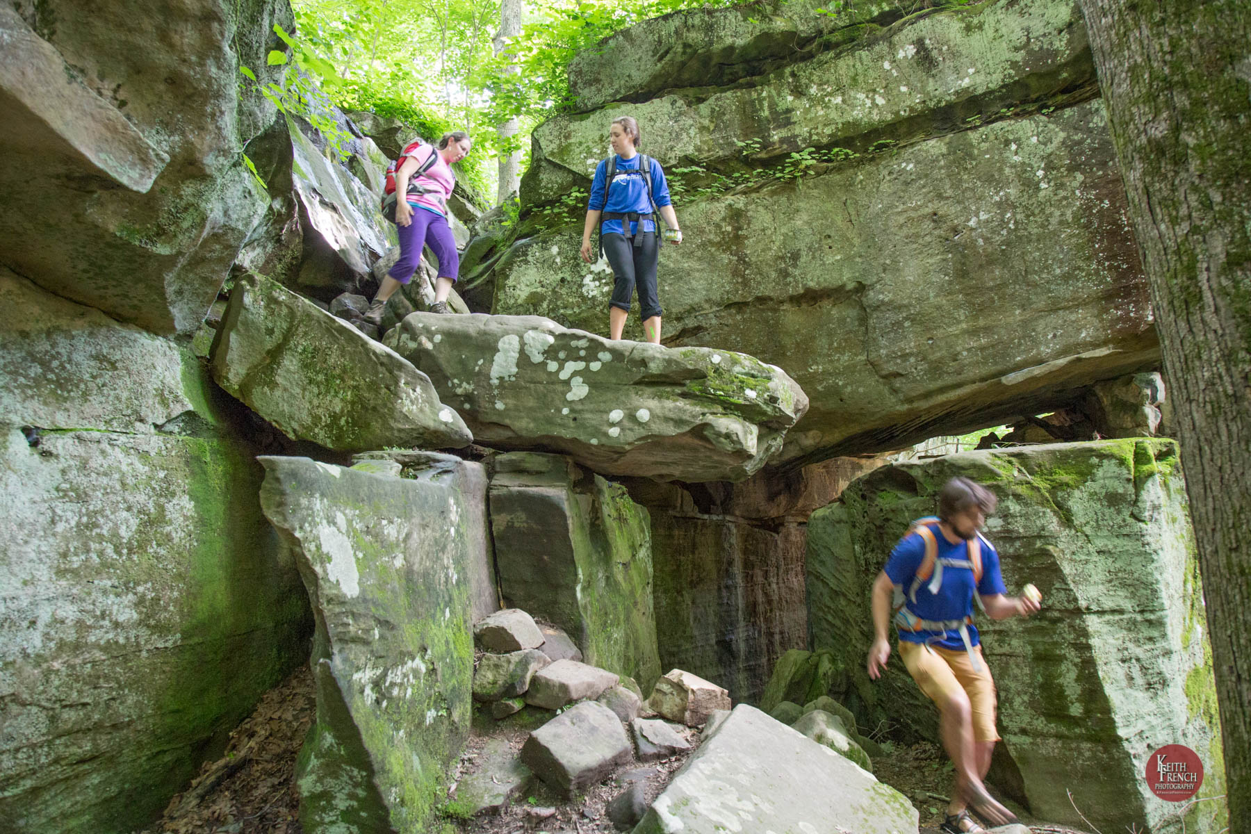Jackson Hollow.jpg