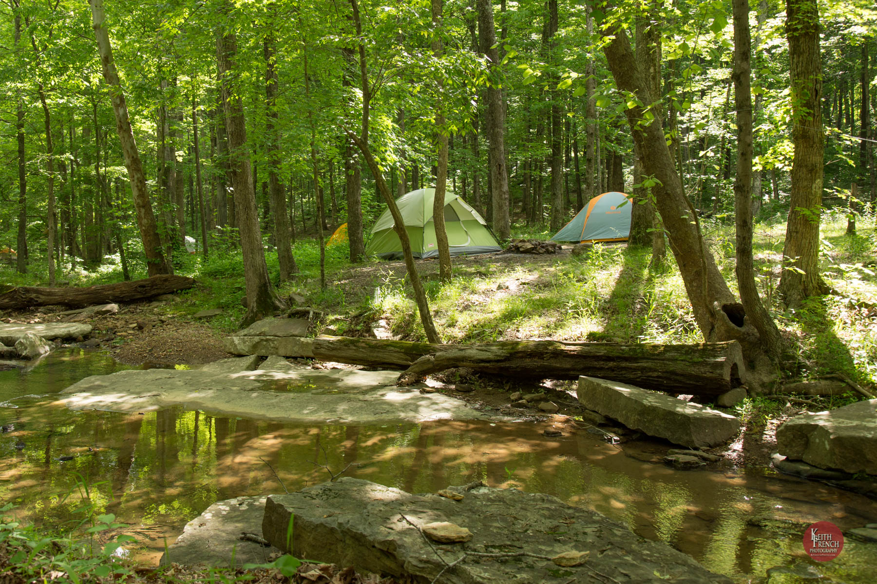Upper Jackson.jpg