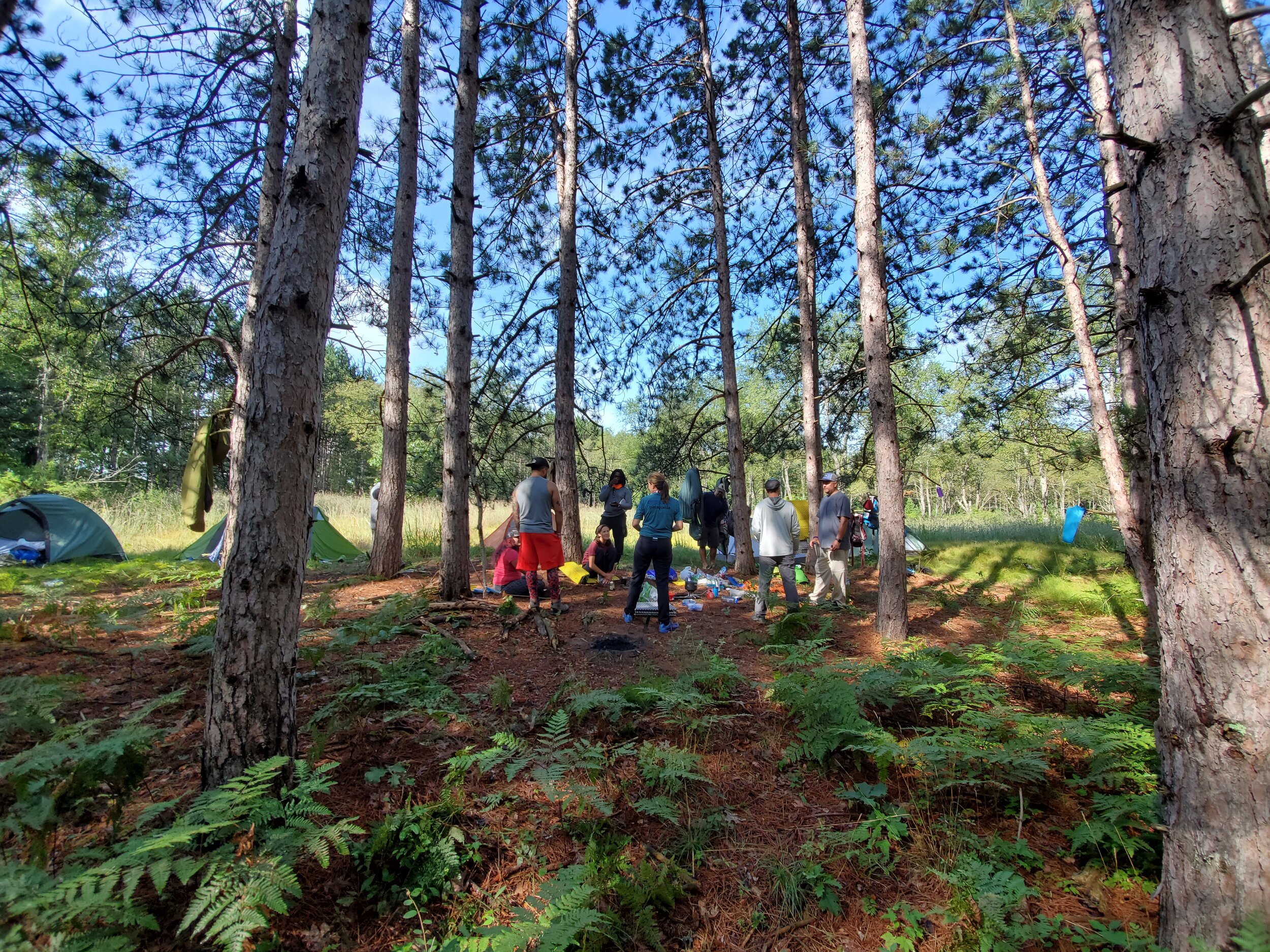 Two Night BackpackingDisconnect with us under old growth trees and starlit skies on this 3 day 2 night backpacking trip. We’ll hike atop ridges, lunch at waterfalls and experience these ancient mountains in unforgettable ways. Trip locations will vary based on group size, time of year and guide discretion. Meet up at 8 a.m. in downtown AVL, location varies depending on group and will be arranged 1 week before trip.