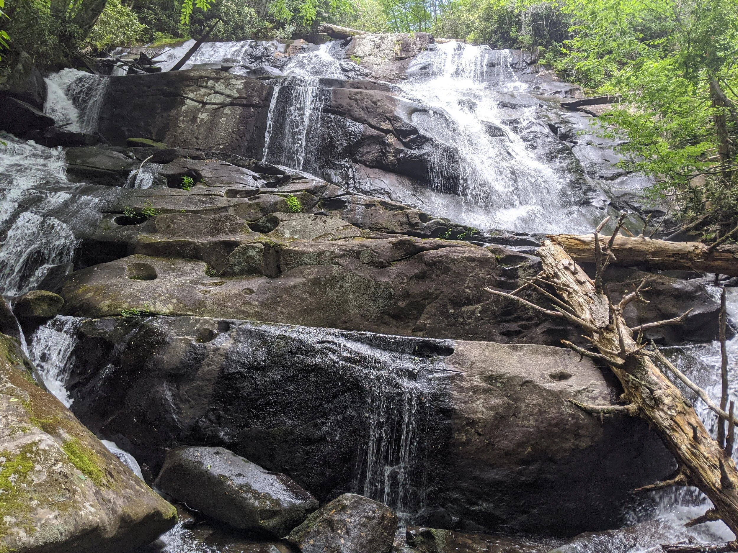 Looking up at Sassafras falls