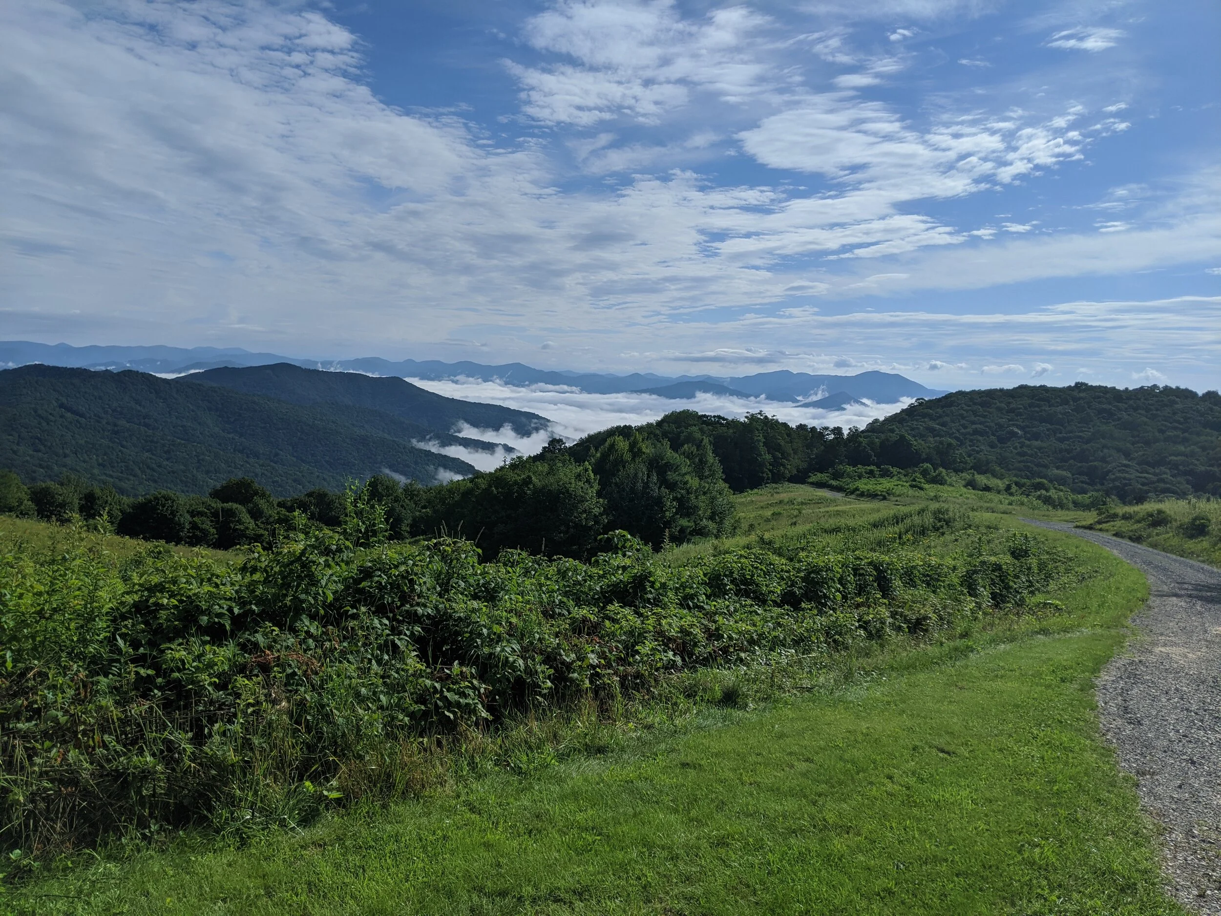 Appalachian MountainsFrom everlasting mountain vistas to dramatic waterfalls and everything in between. Our brand new trips in the ancient Appalachians are sure to inspire and challenge.