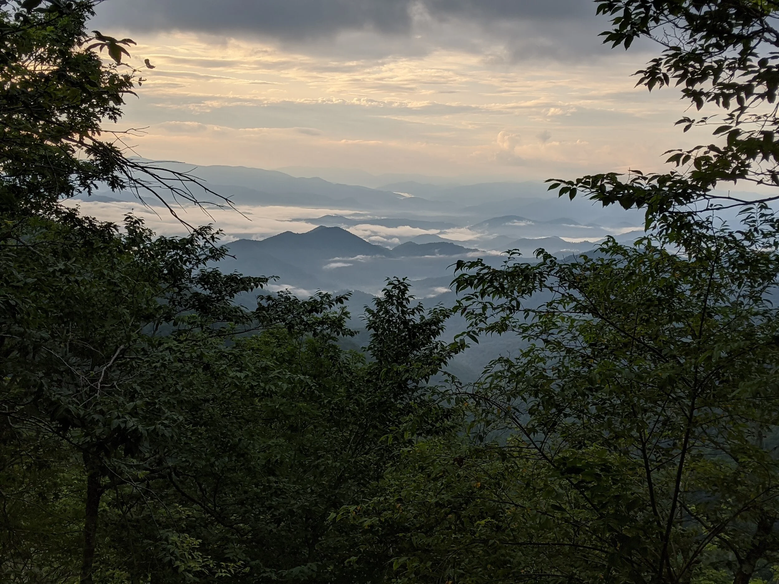 Sunrise in the Unicoi