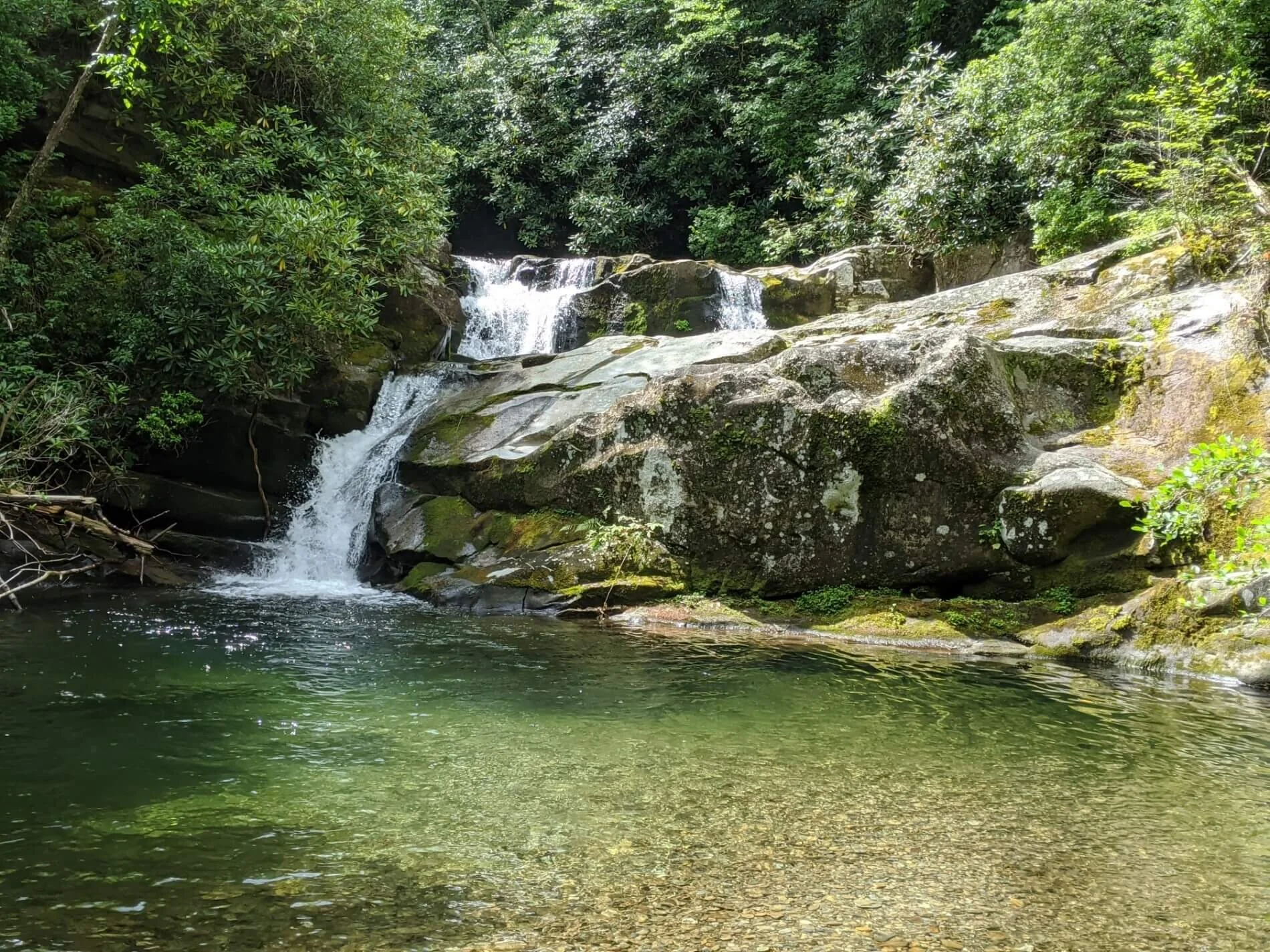 MVIMG_20200723_111421 (1) - Edited (1).jpg