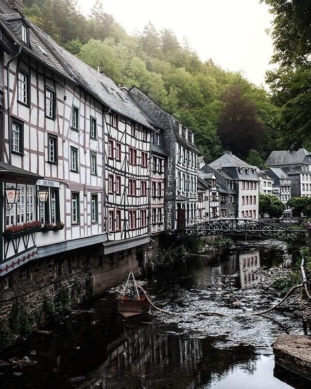 🌲 #fujix100t #fujifilm #classichrome #eifel #germany #fujilove #mirrorless