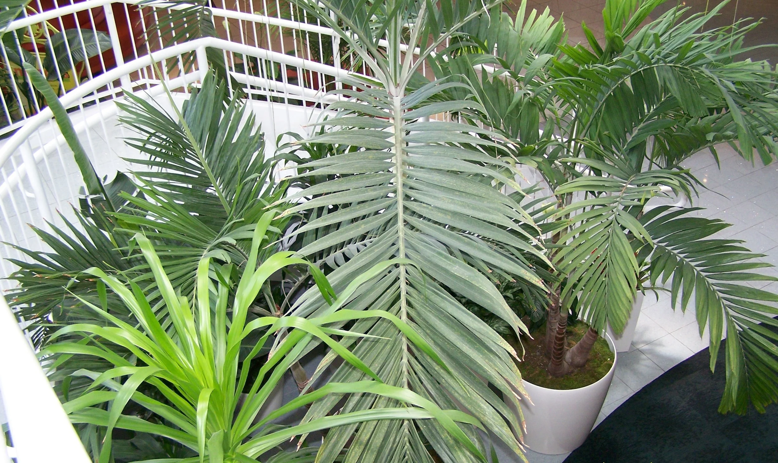 Interior Cover Picture.jpg