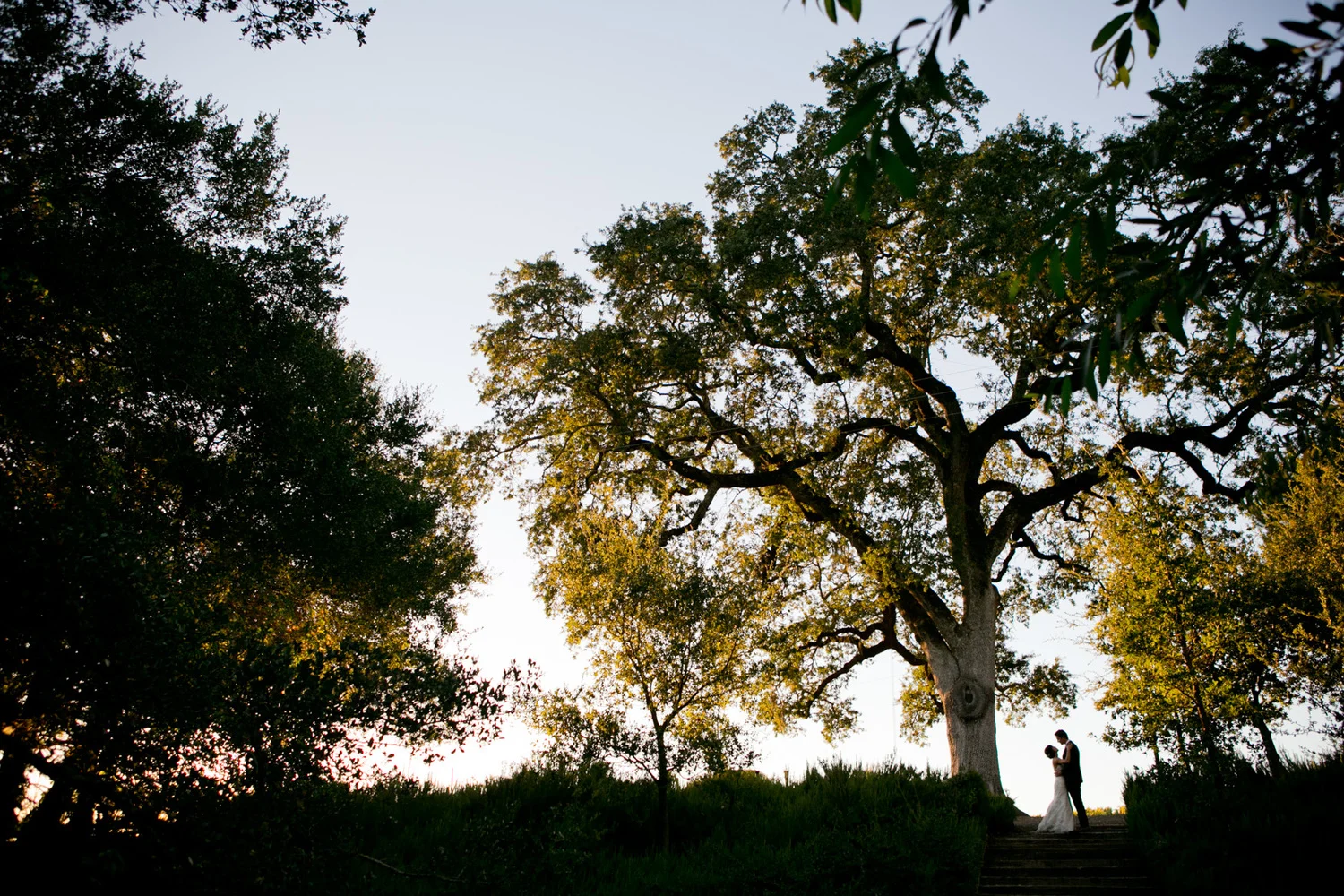 Serene&Kevin_0752.jpg
