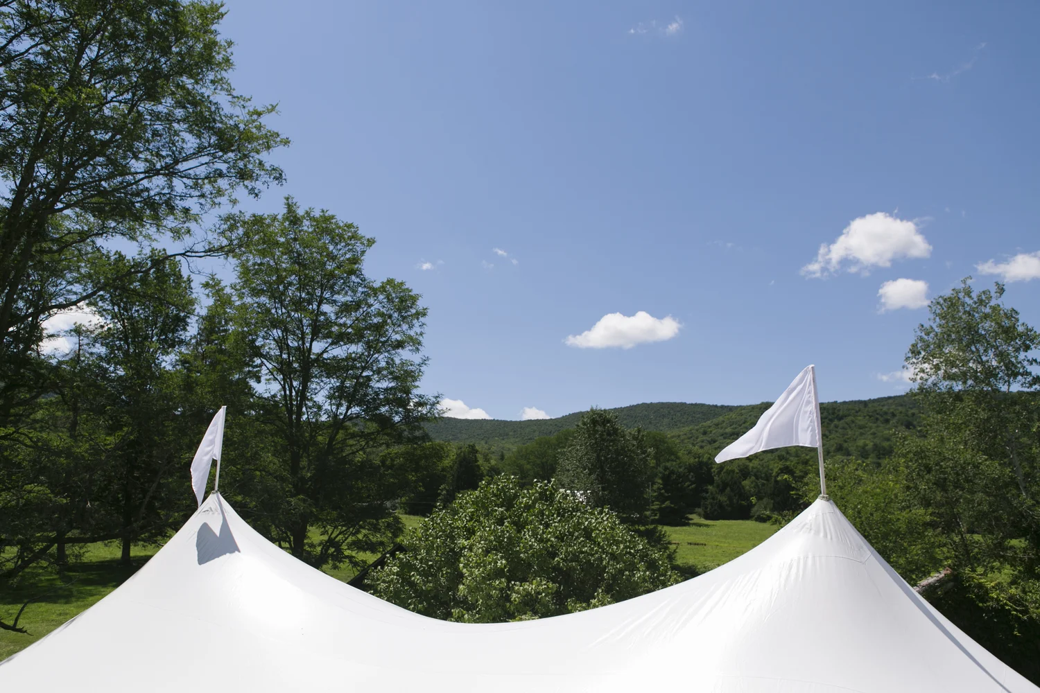 SarahMattWedding_Luncheon_001.jpg