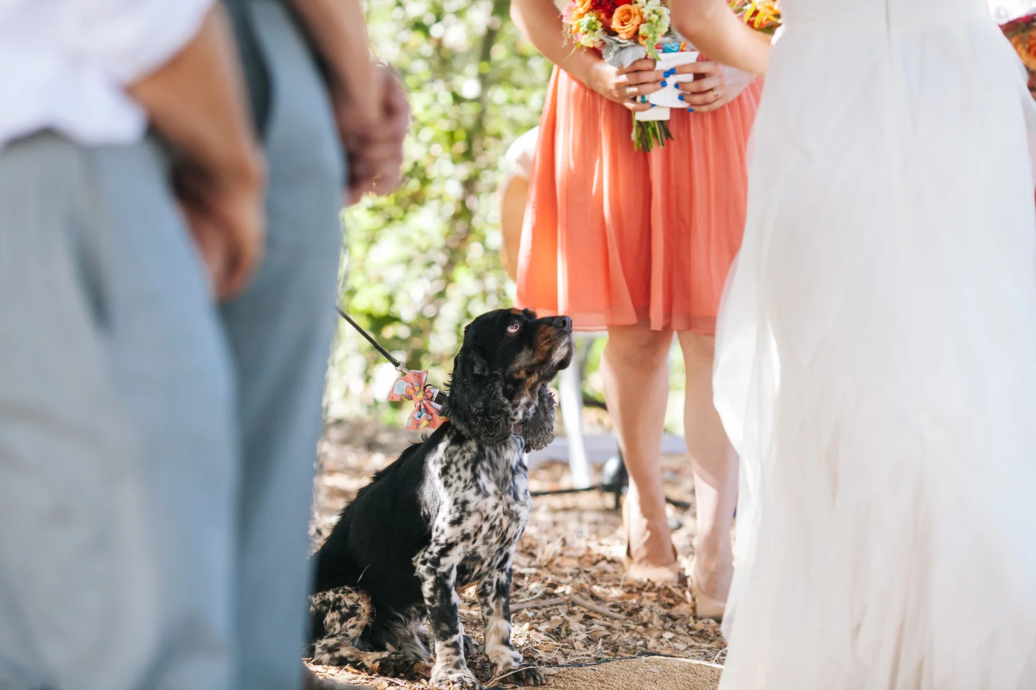 AnnieSamWedding_Ceremony_147.jpg
