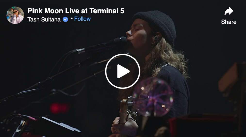 VIDEO — Lori Gutman
