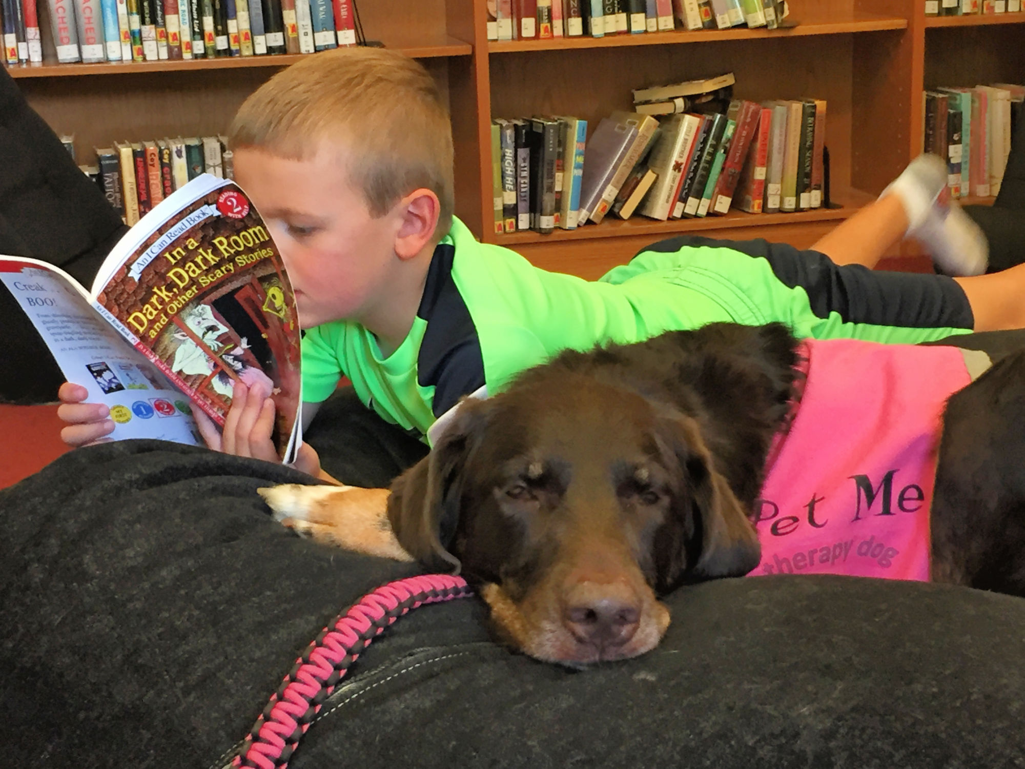 Lilly on the job at the Leander Public Library