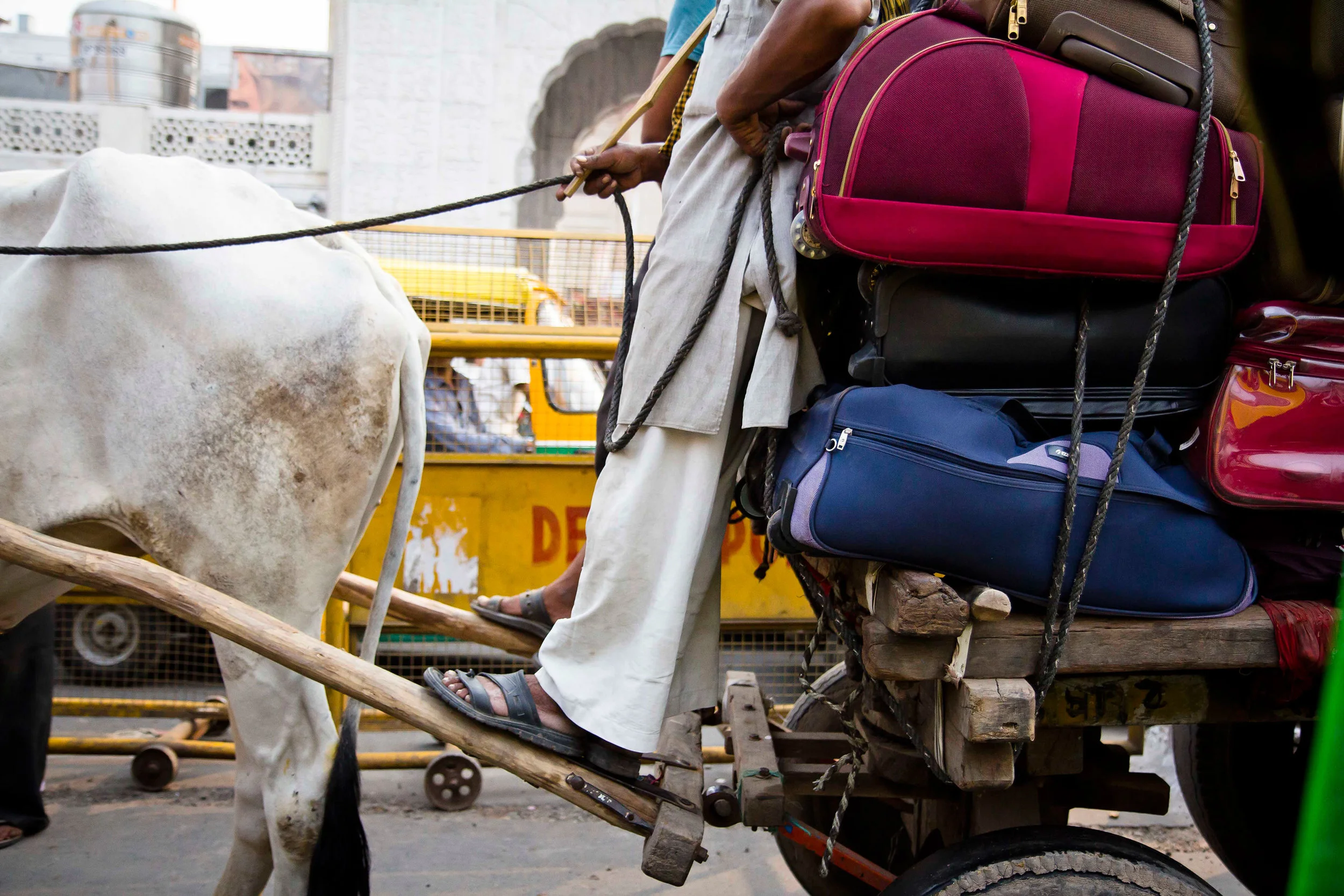 India-Delhi-102413-141-edit.jpg