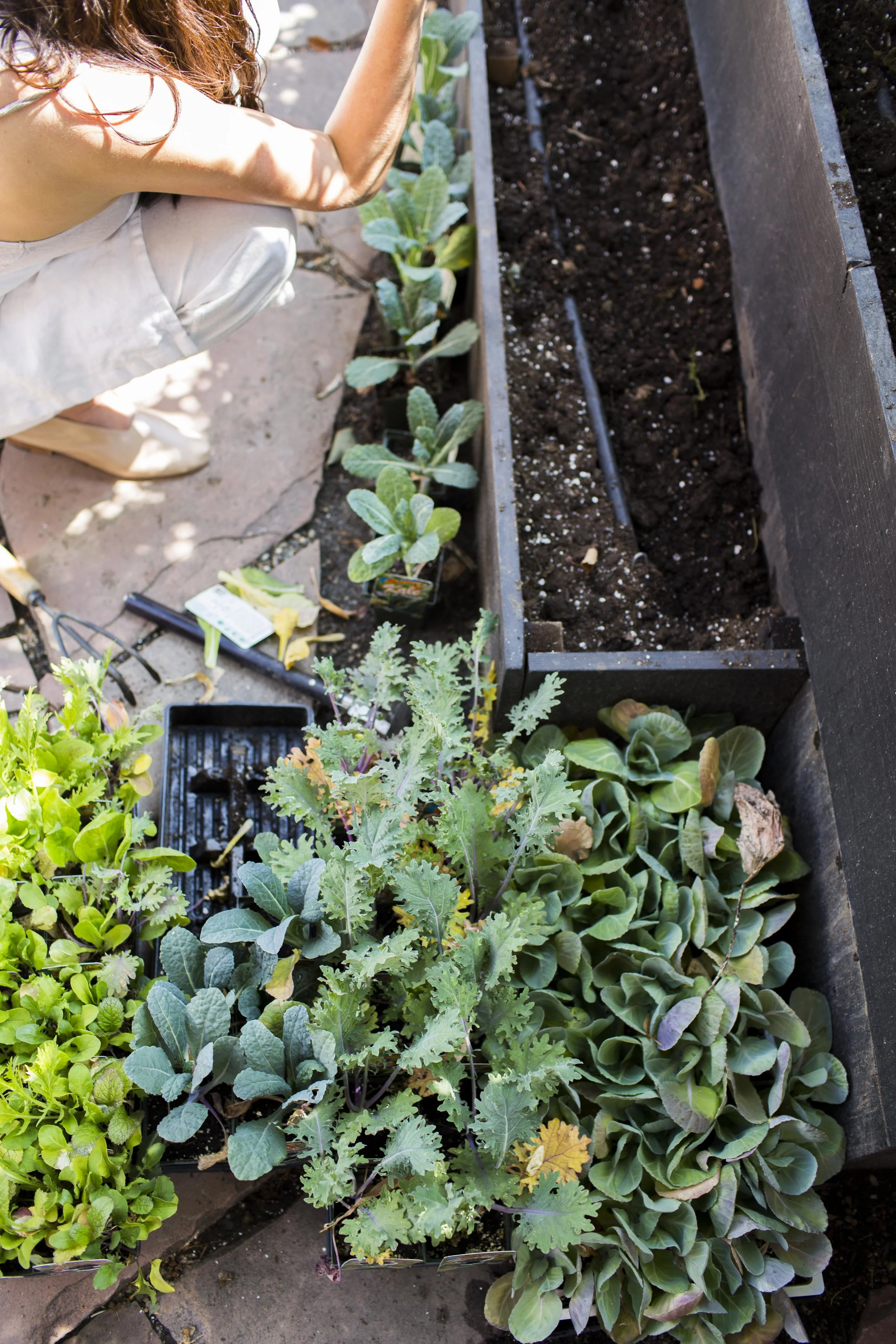 COR-Fig+Yarrow_JLove-092617-459.jpg