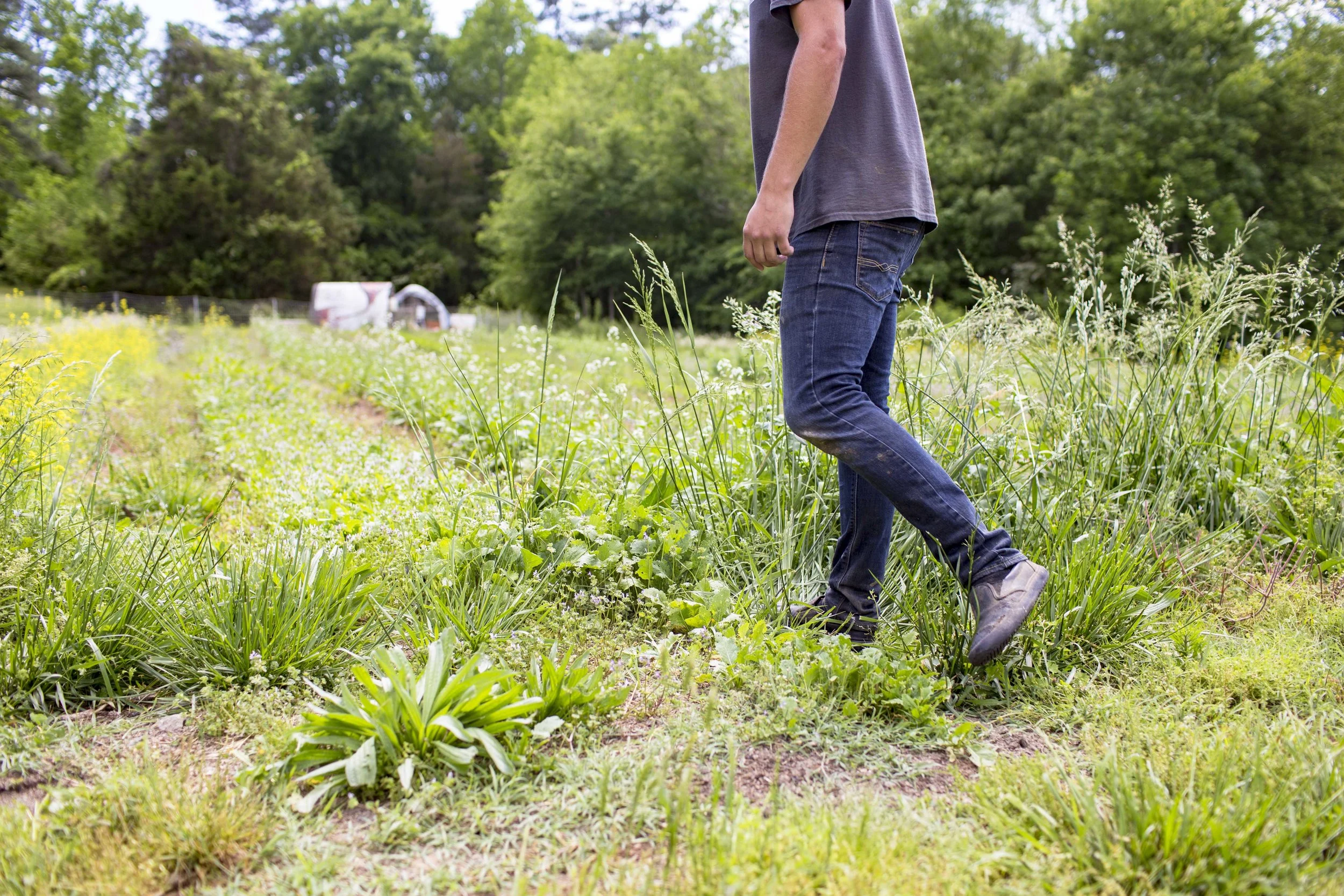 COR-RaleighDenim-050818-385.jpg