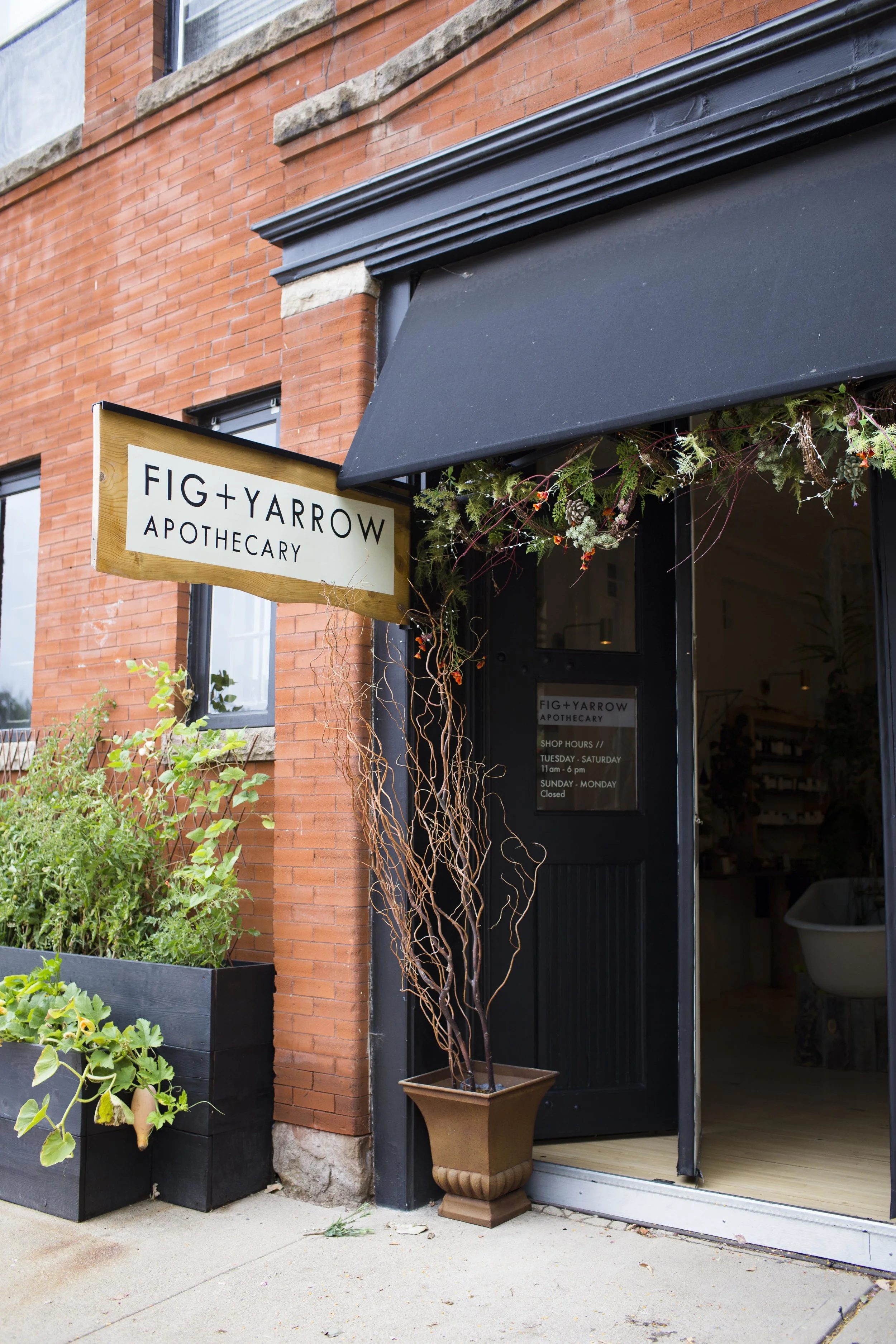 COR-Fig+Yarrow_JLove-092617-6.jpg