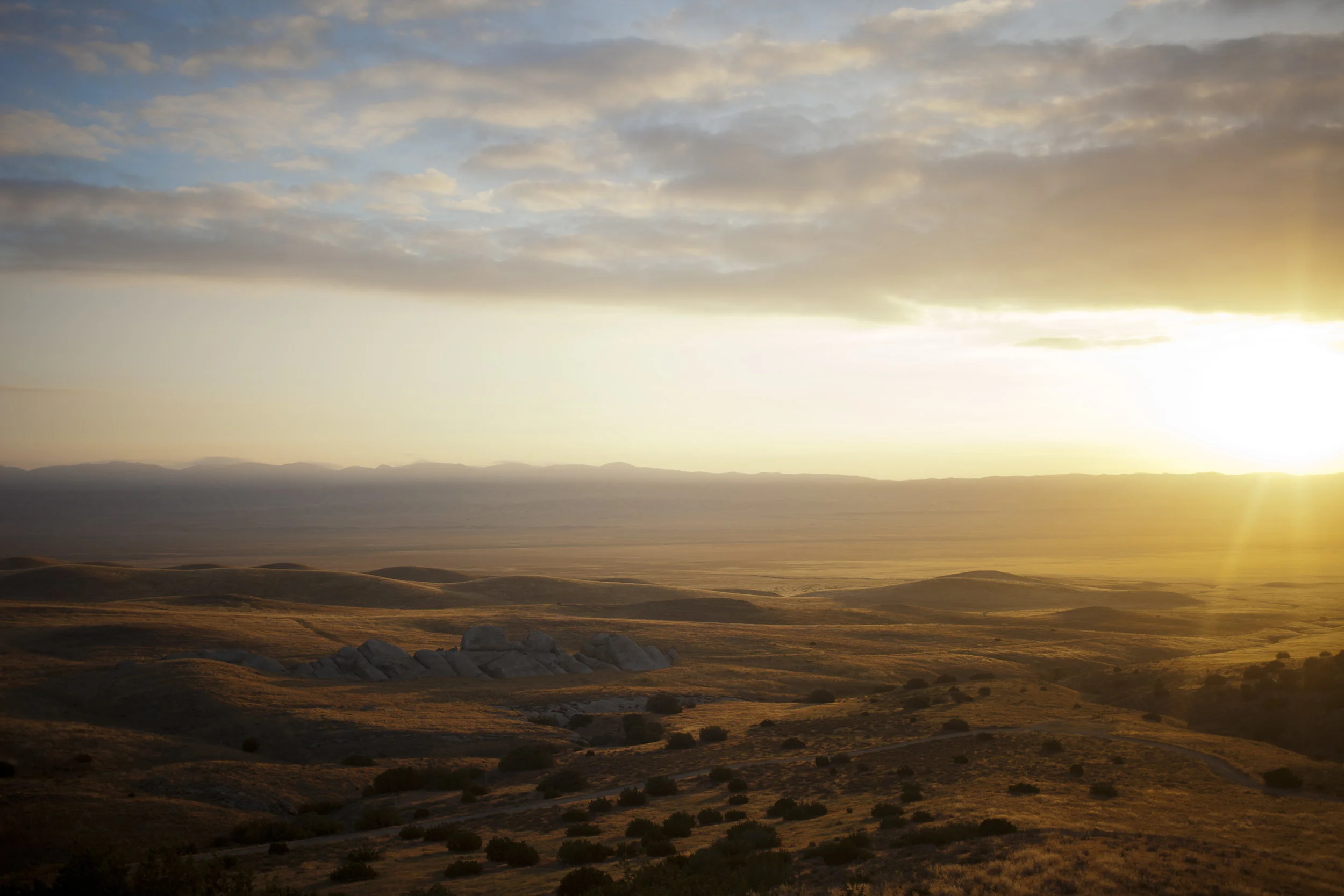 CarrizoPlain-052717-42.jpg