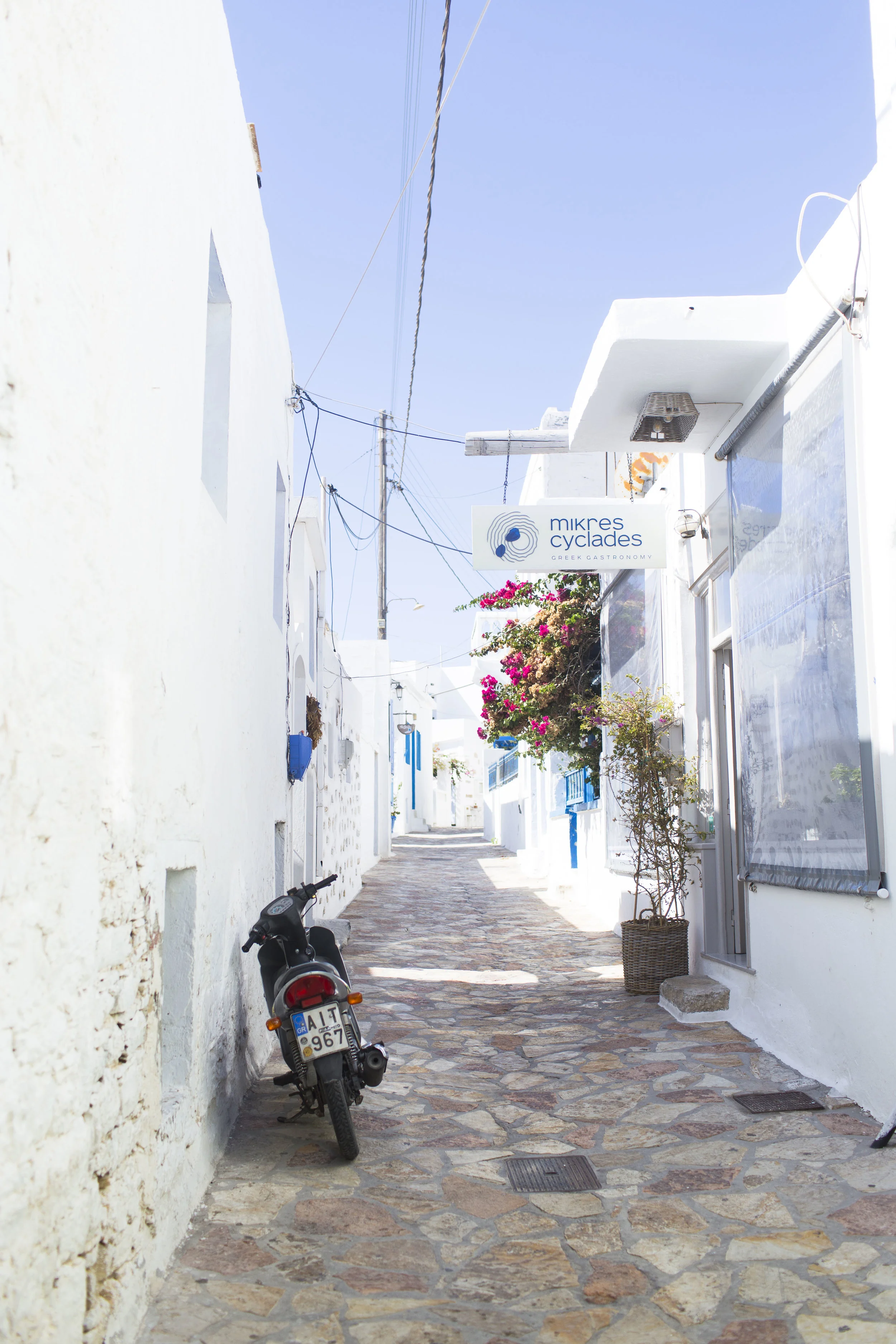 Europe2018-Naxos-092018-66.jpg