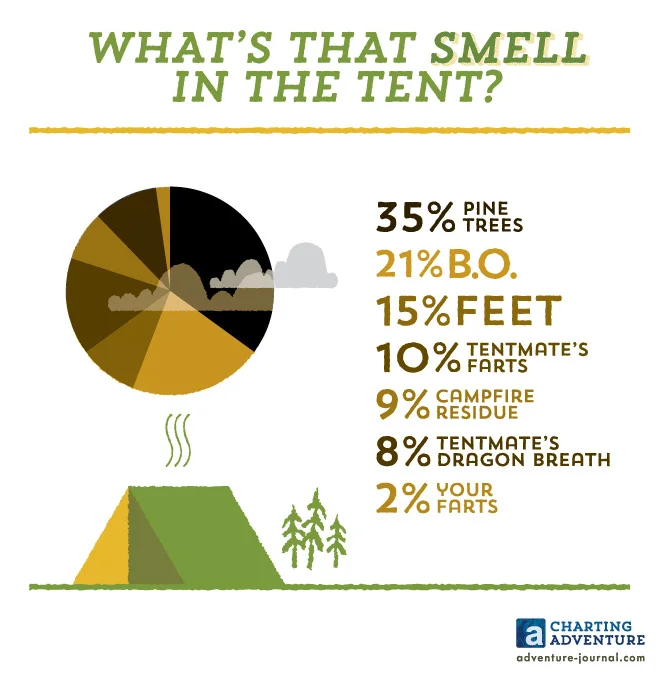 What's That Smell in the Tent? (Copy)